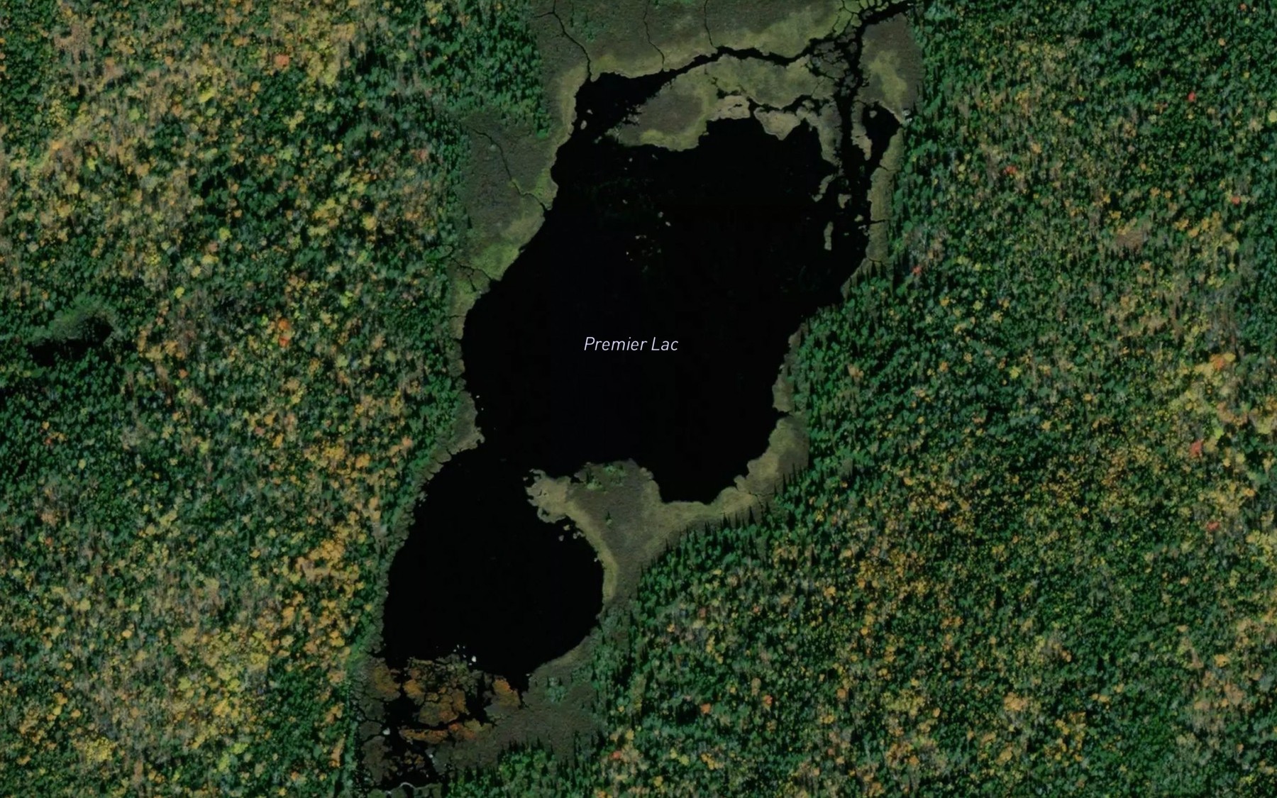 Satellite map of the Premier Lac