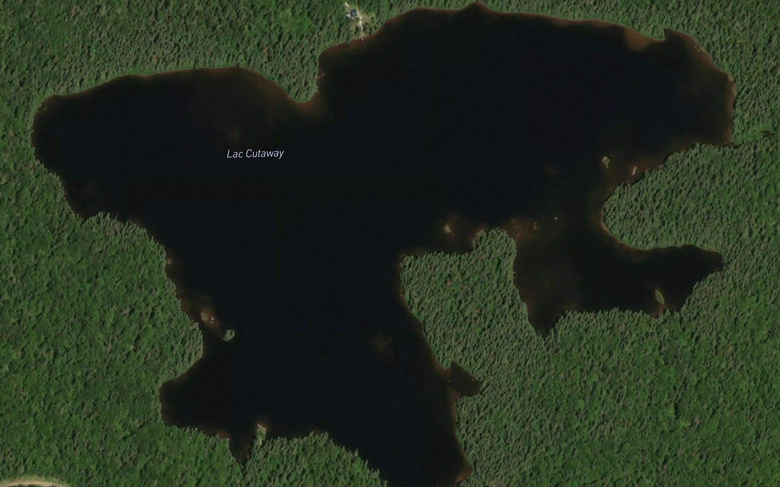 Lac Cutaway