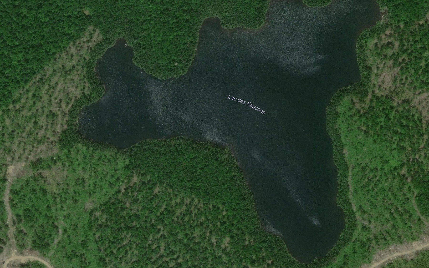 Satellite map of the Lac des Faucons
