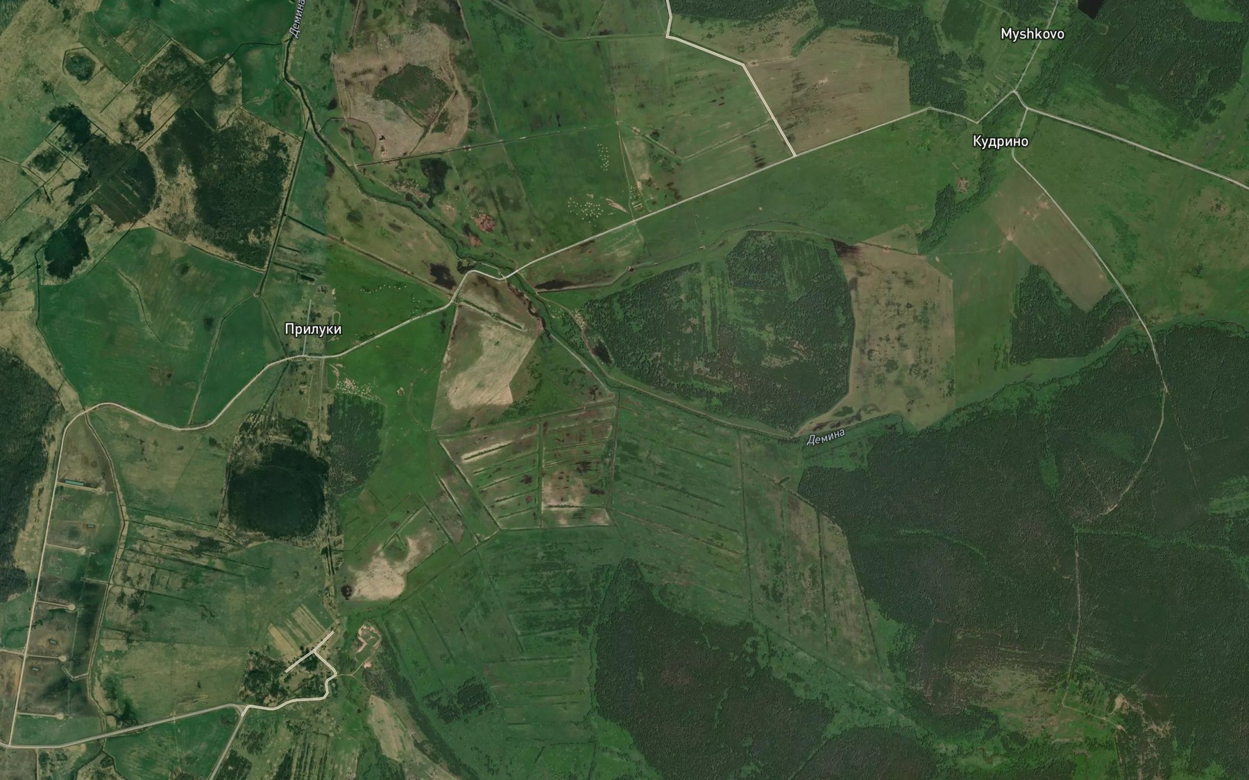 Satellite map of the Demina