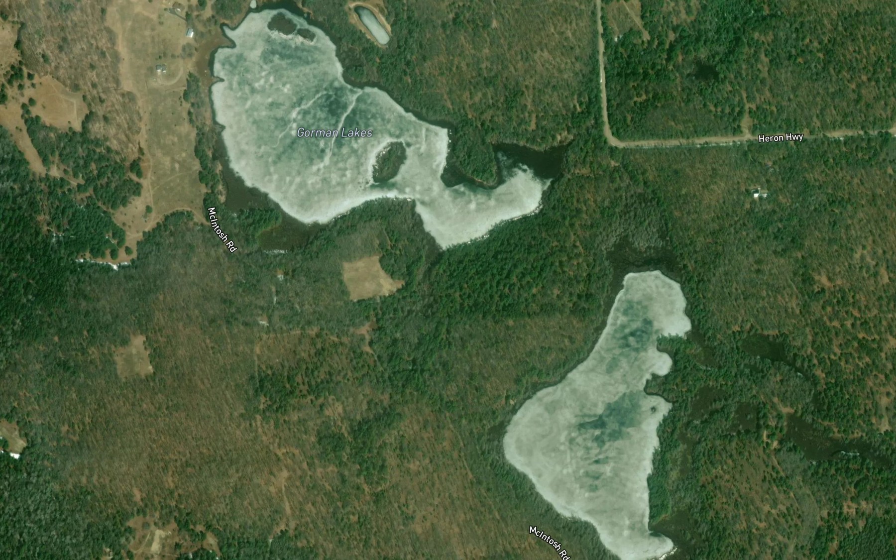 Satellite map of the Gorman Lakes