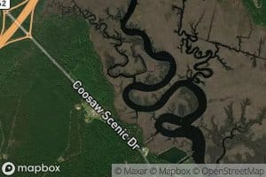 Little Bees Creek