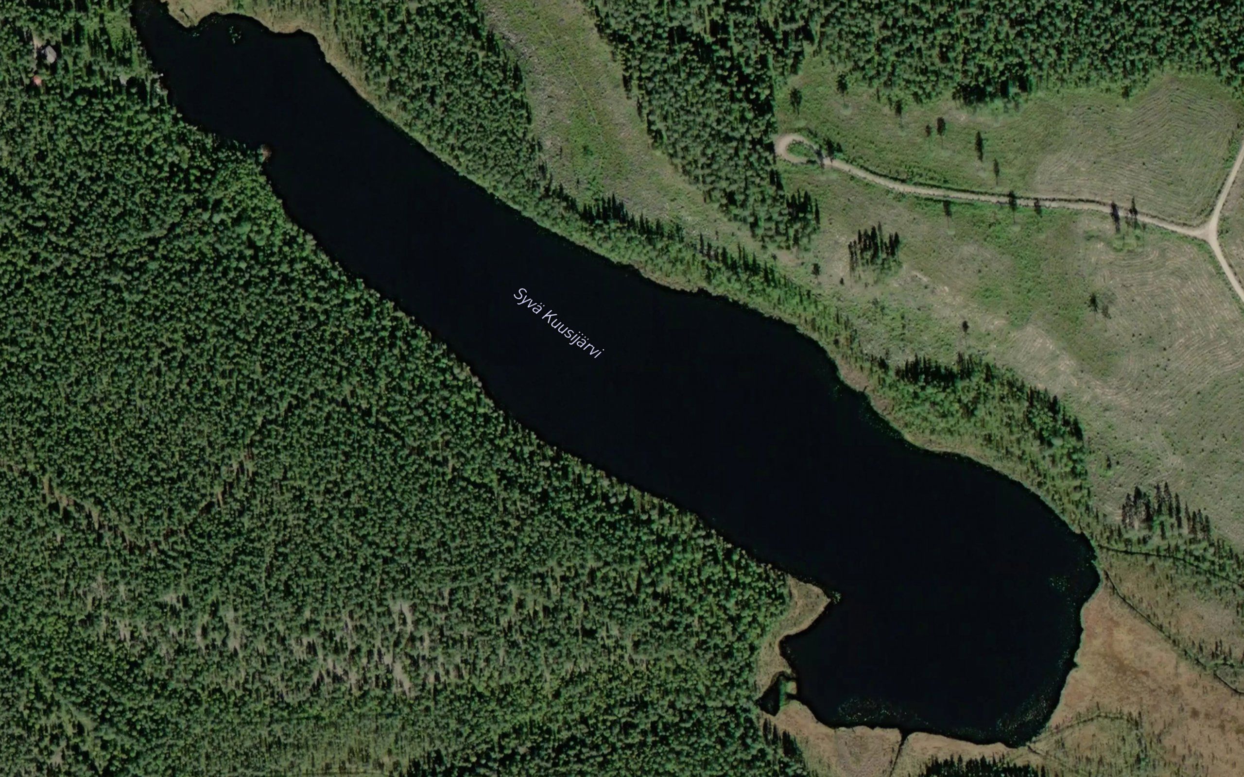 Syva Kuusijarvi