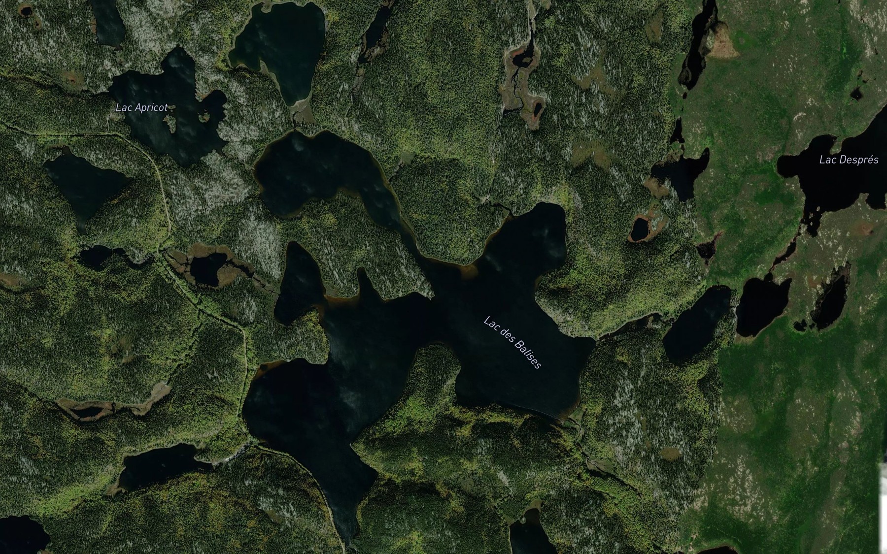 Satellite map of the Lac des Balises
