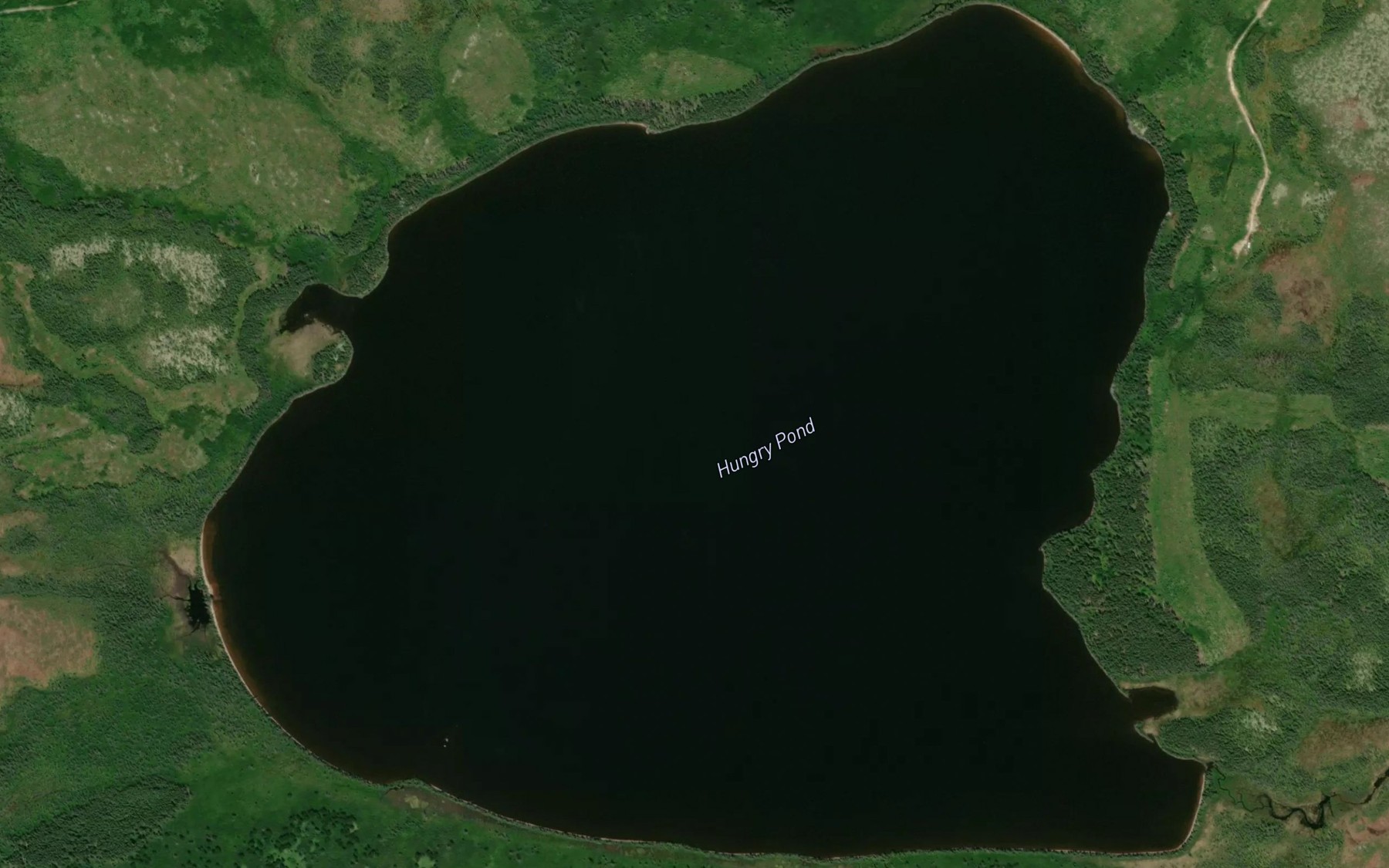 Satellite map of the Hungry Pond