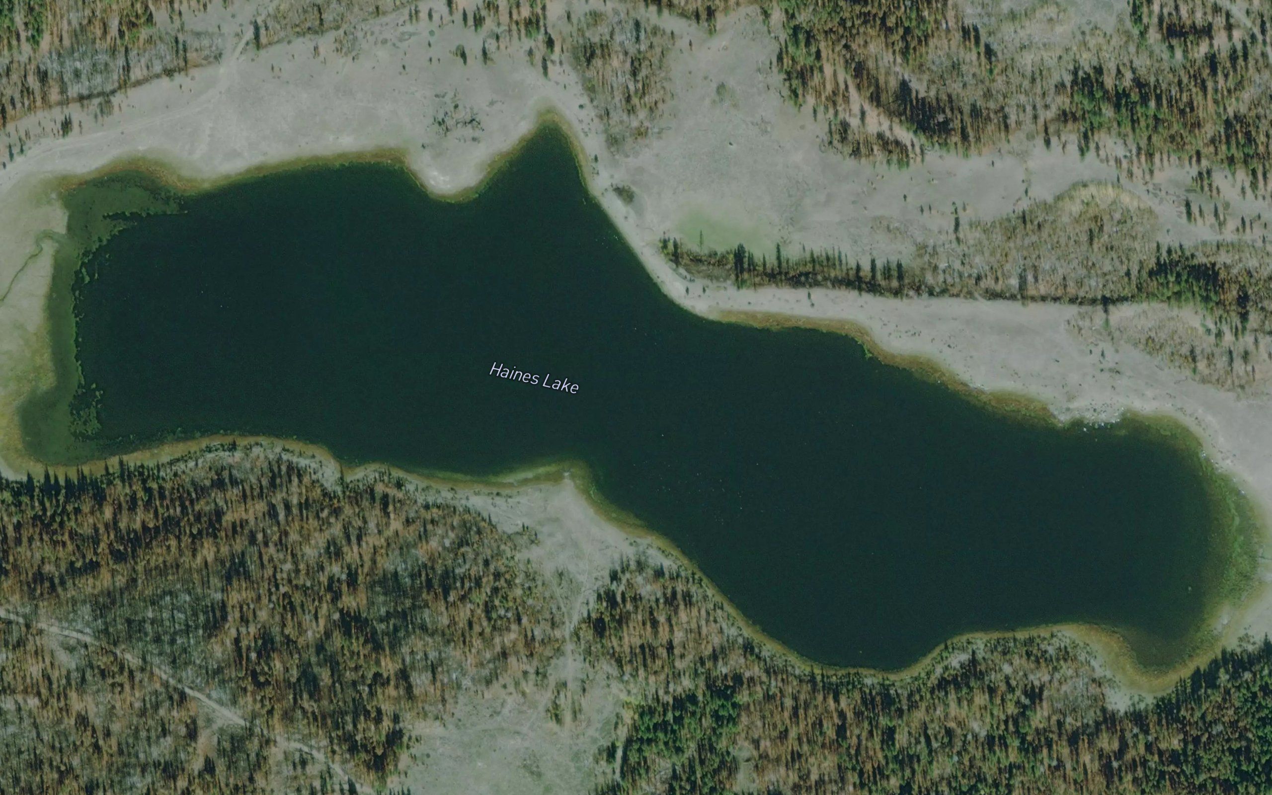 Haines Lake