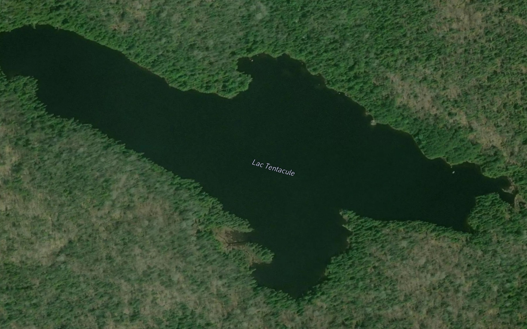 Satellite map of the Lac Tentacule