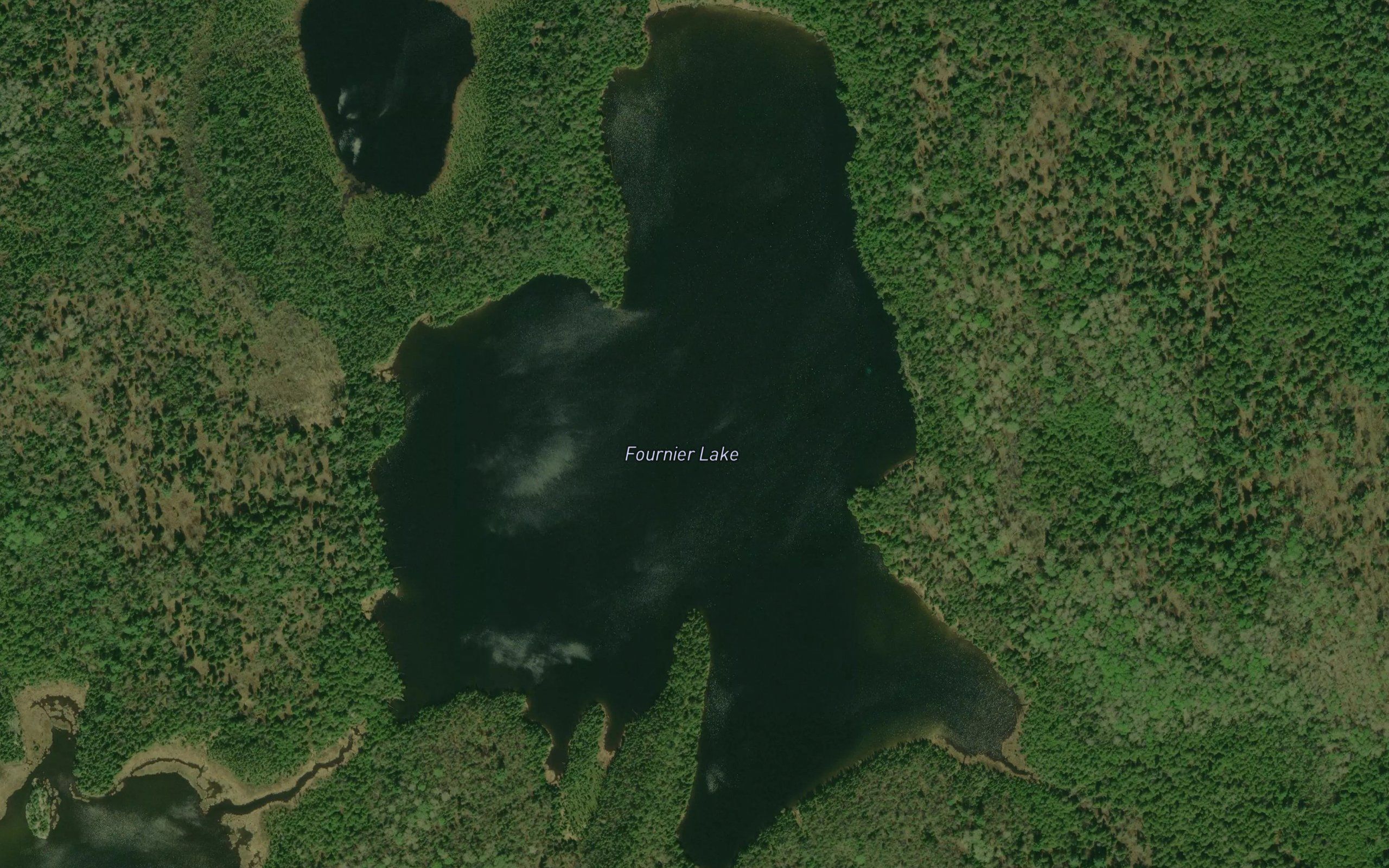 Fournier Lake