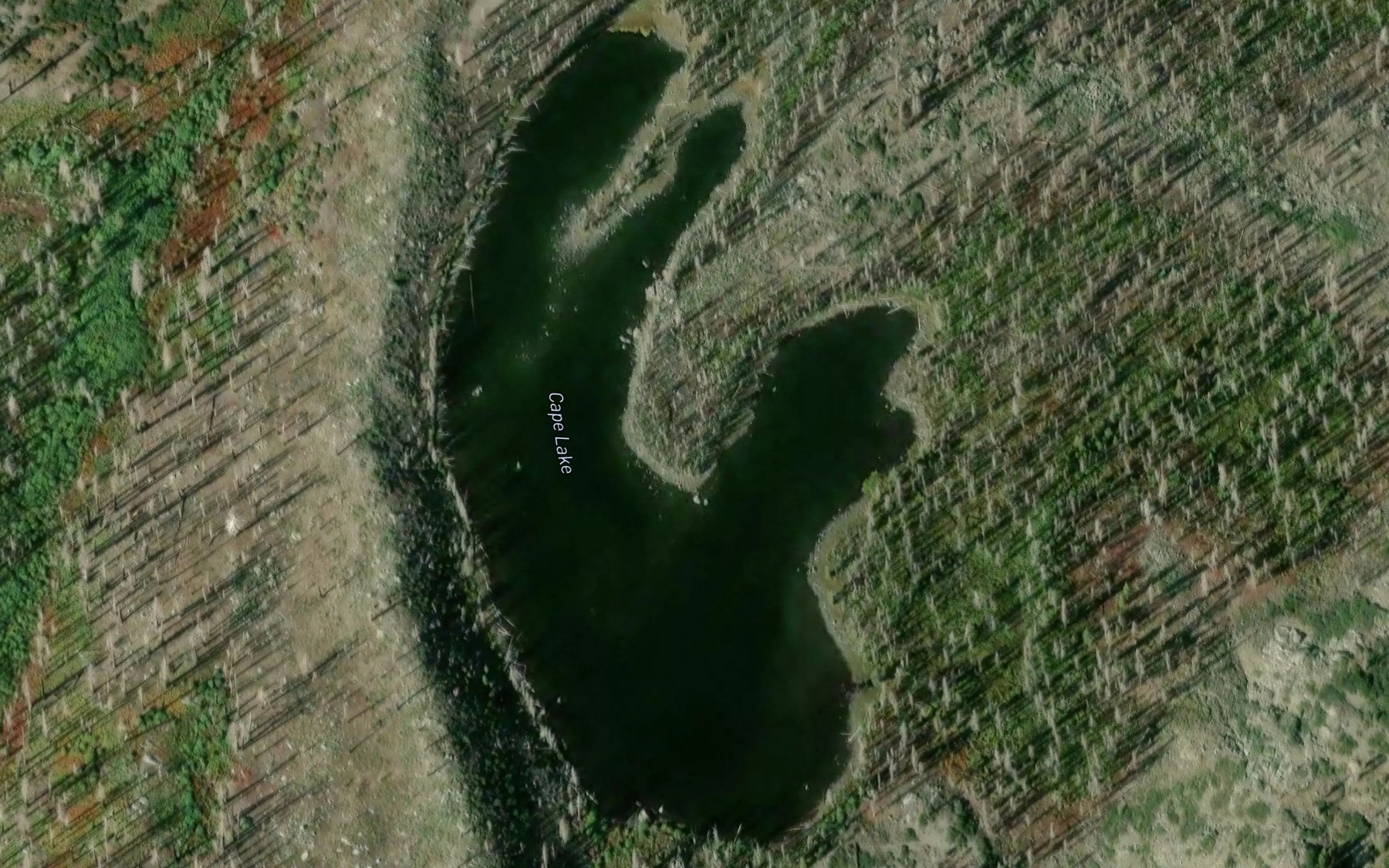 Satellite map of the Cape Lake