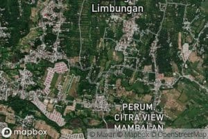 Kokok Gelangsar