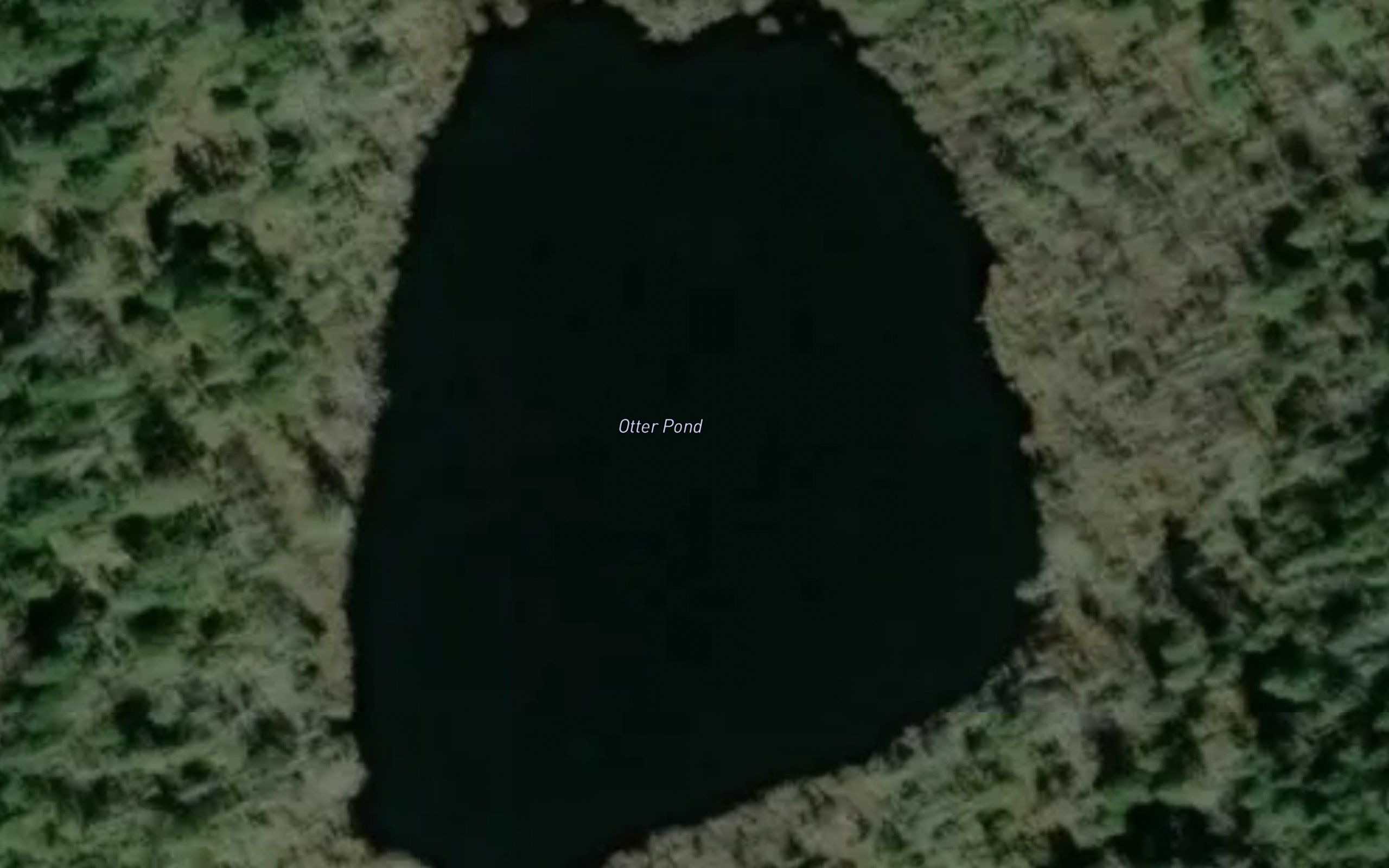 Otter Pond