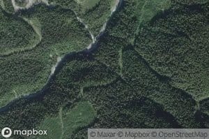 Ankitree Creek