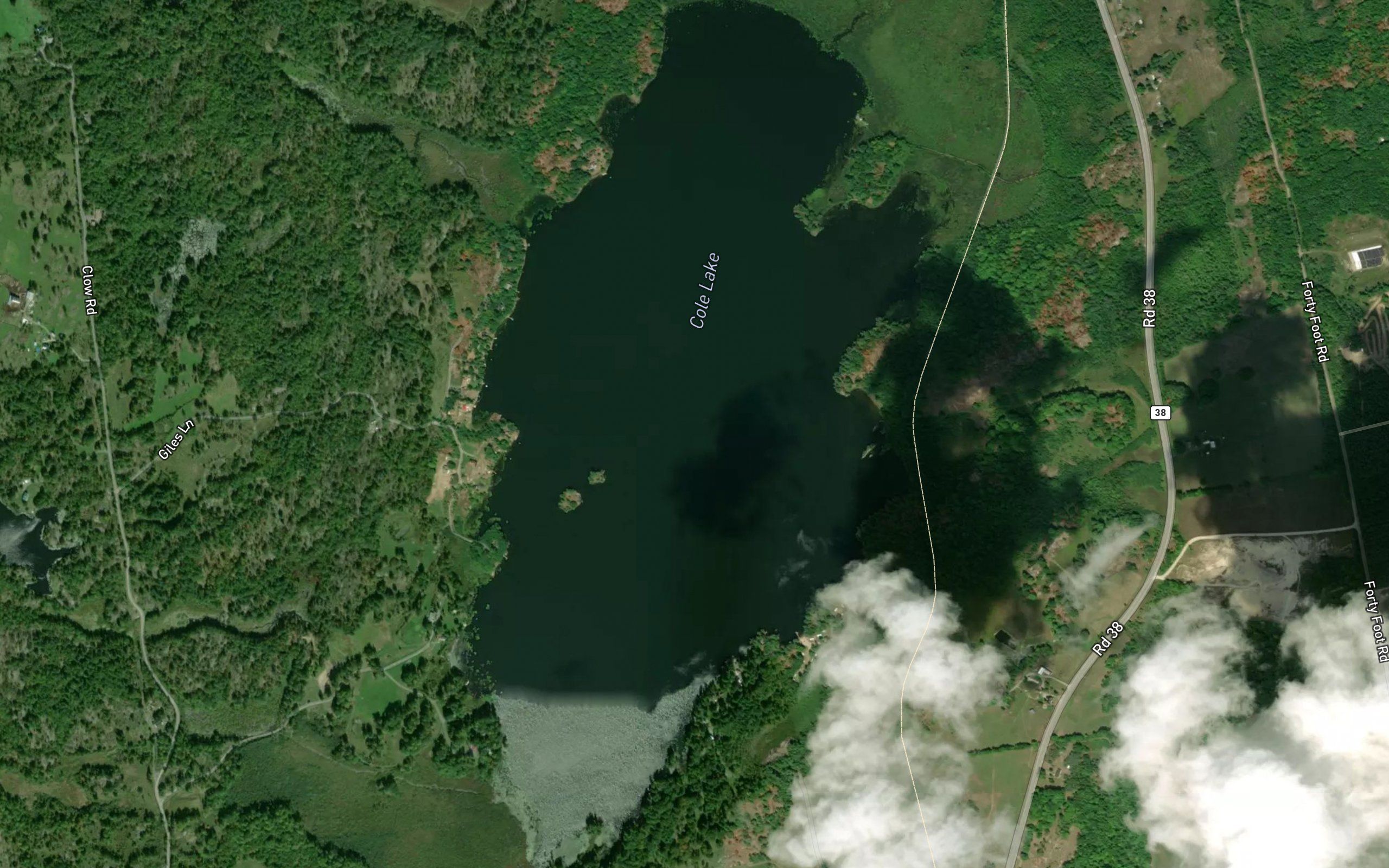 Cole Lake