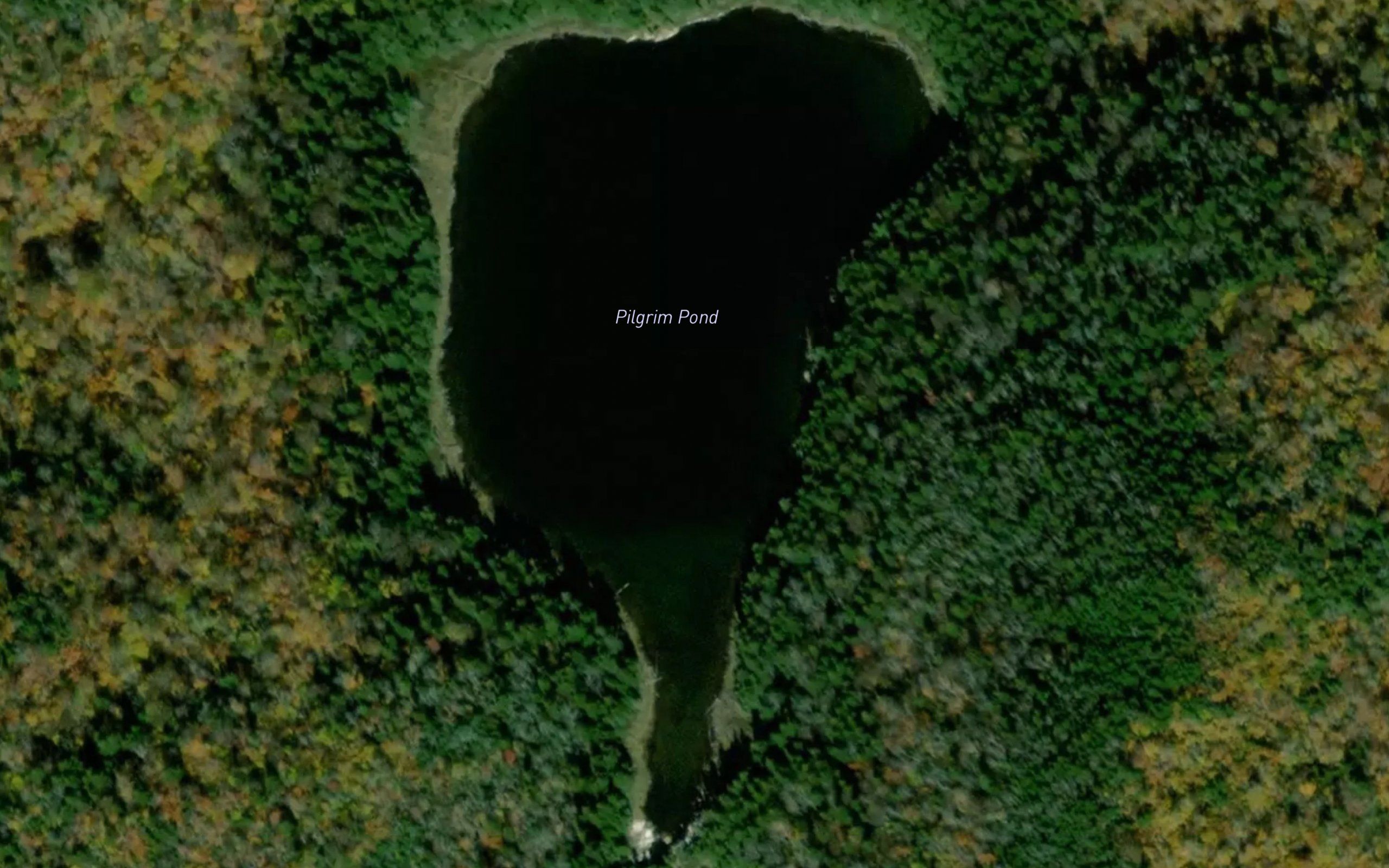 Pilgrim Pond