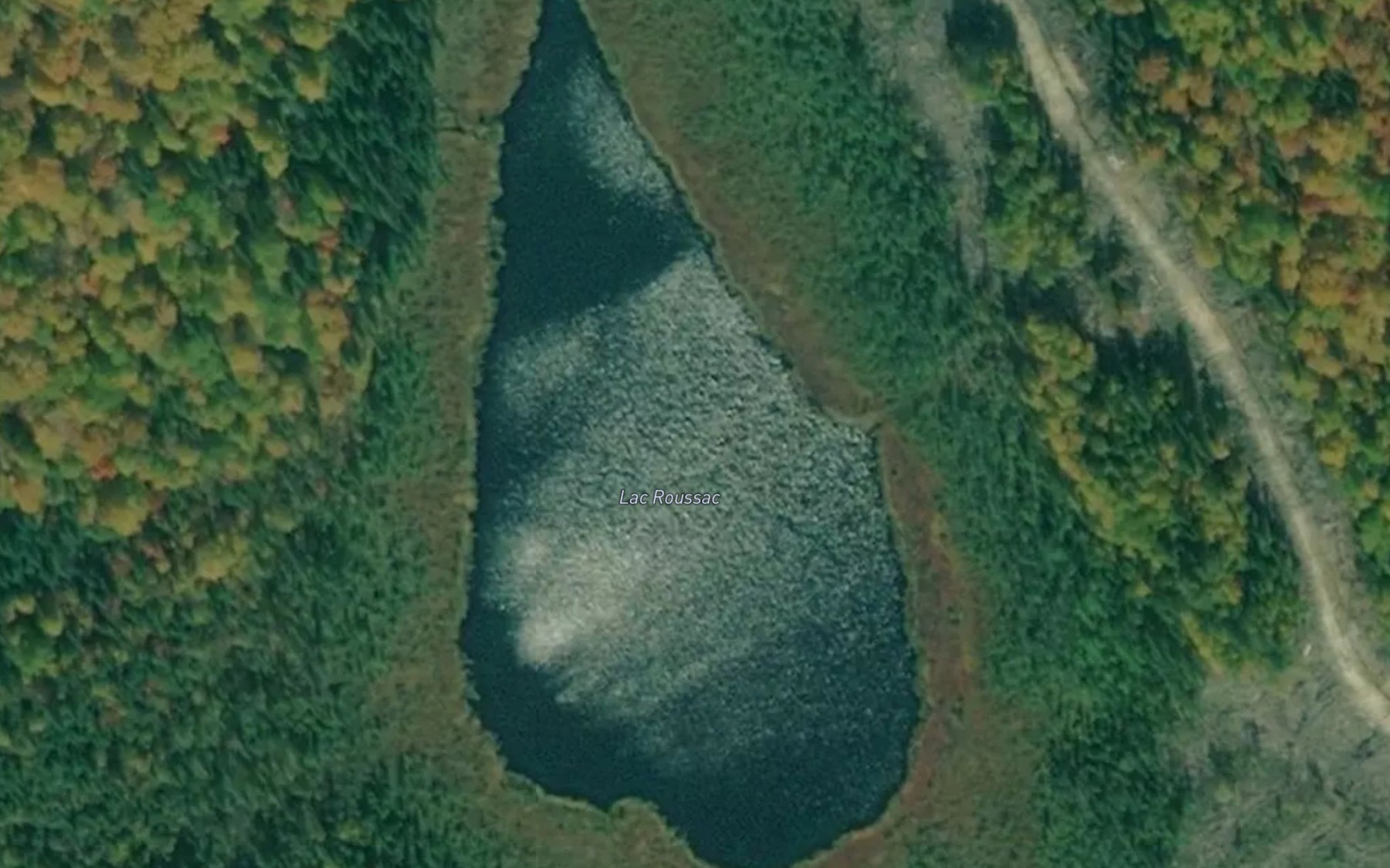 Satellite map of the Lac Roussac