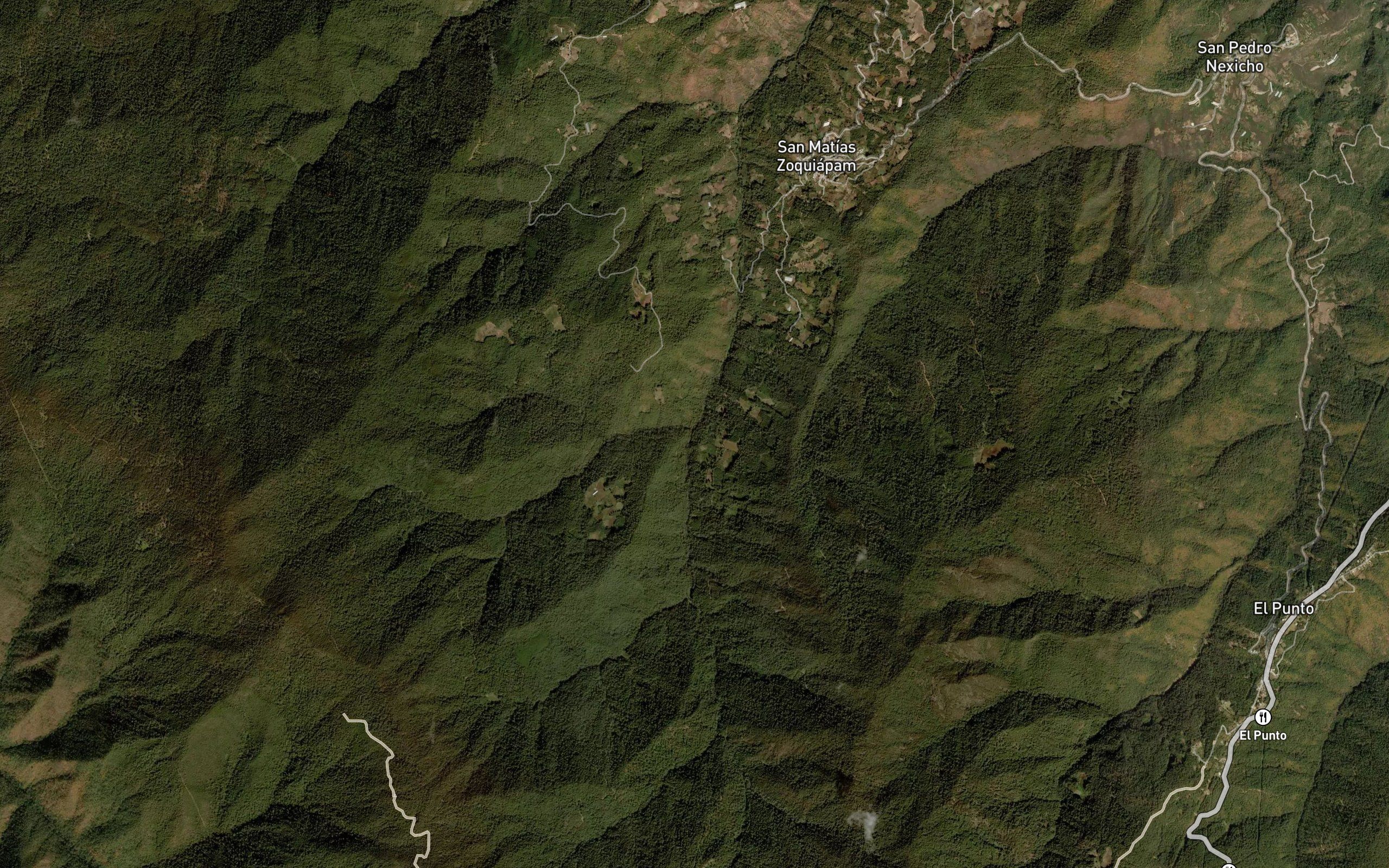 El Otate