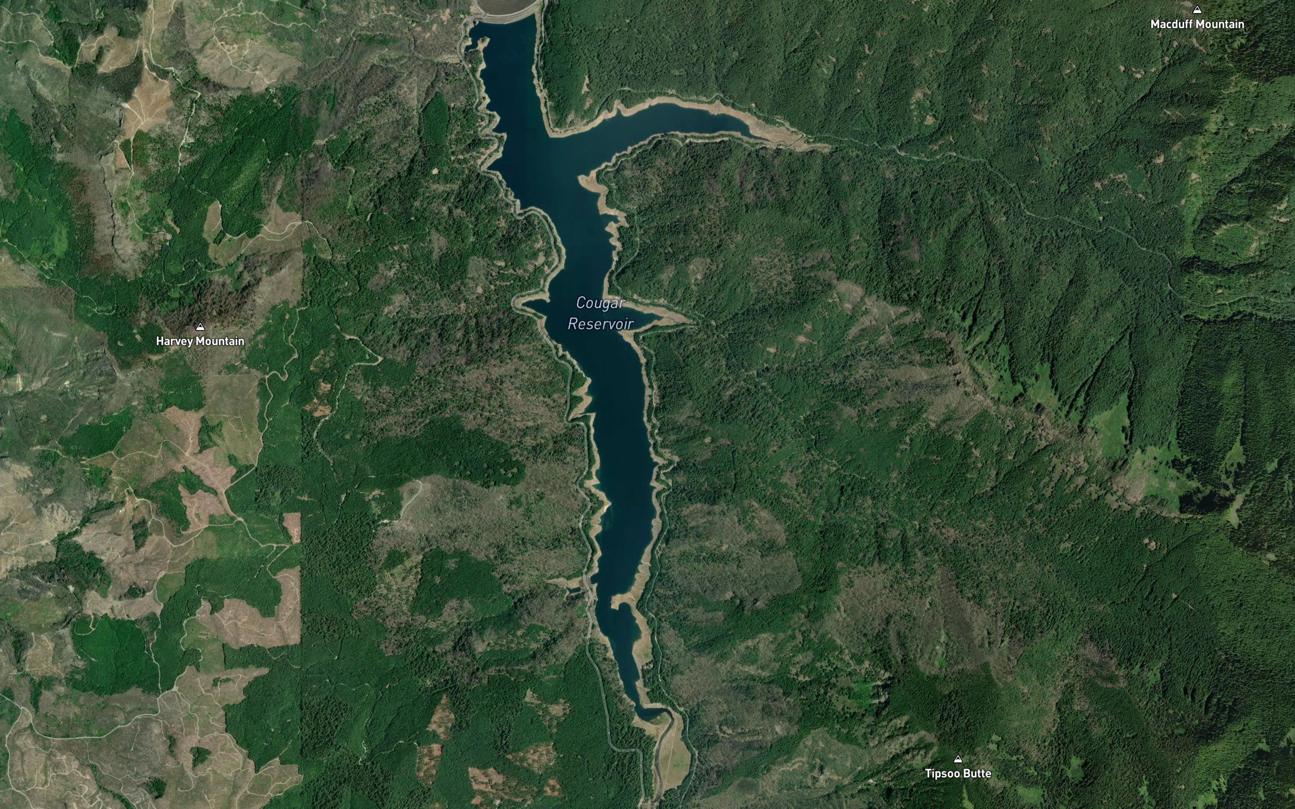 Cougar Reservoir
