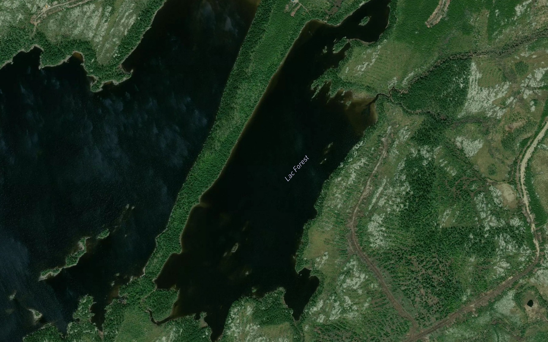 Satellite map of the Lac Forest