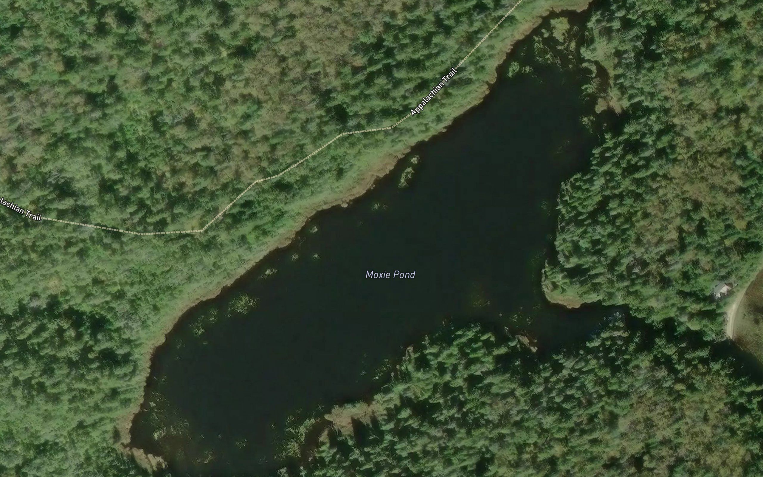 Maxie Pond