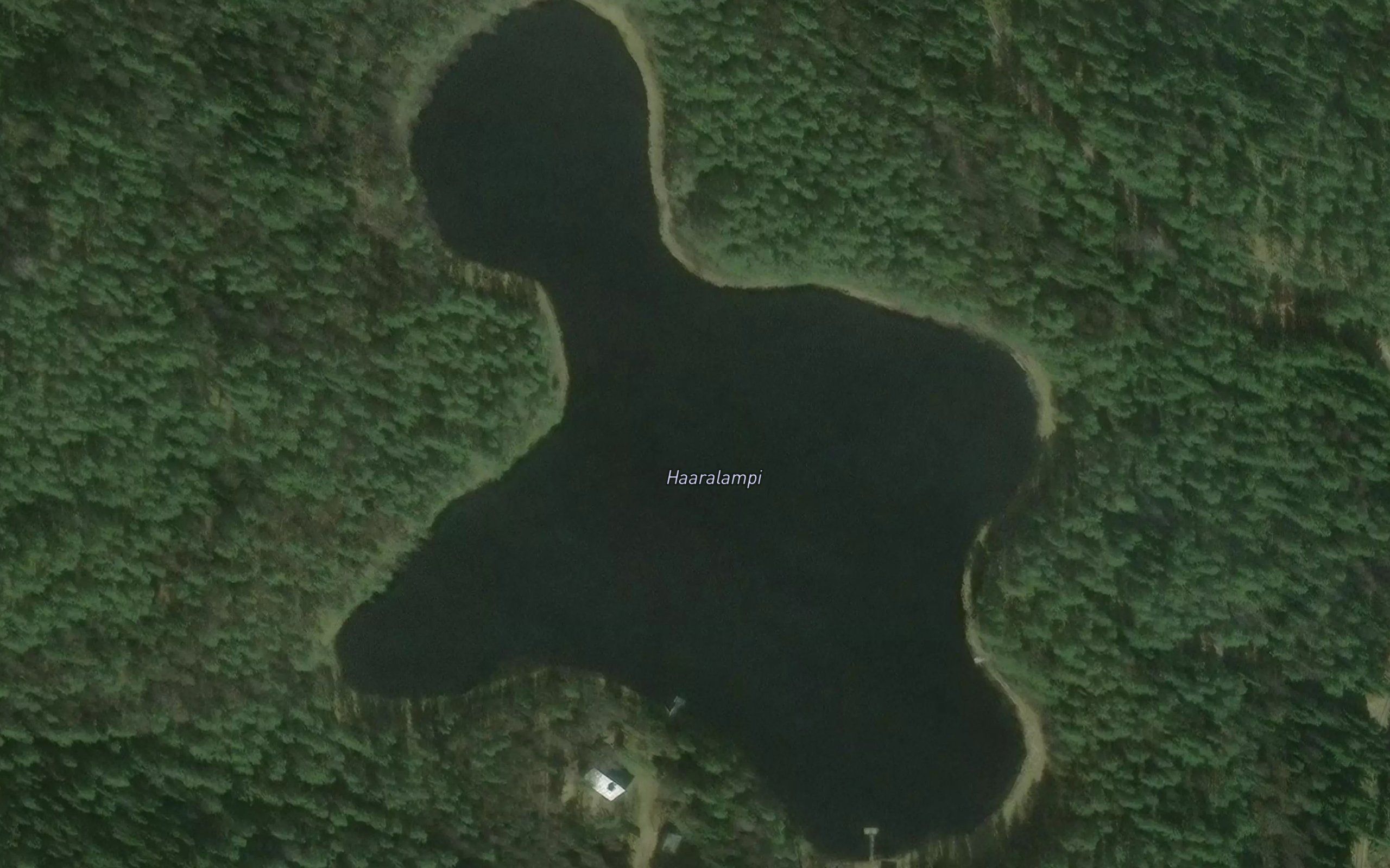 Haaralampi