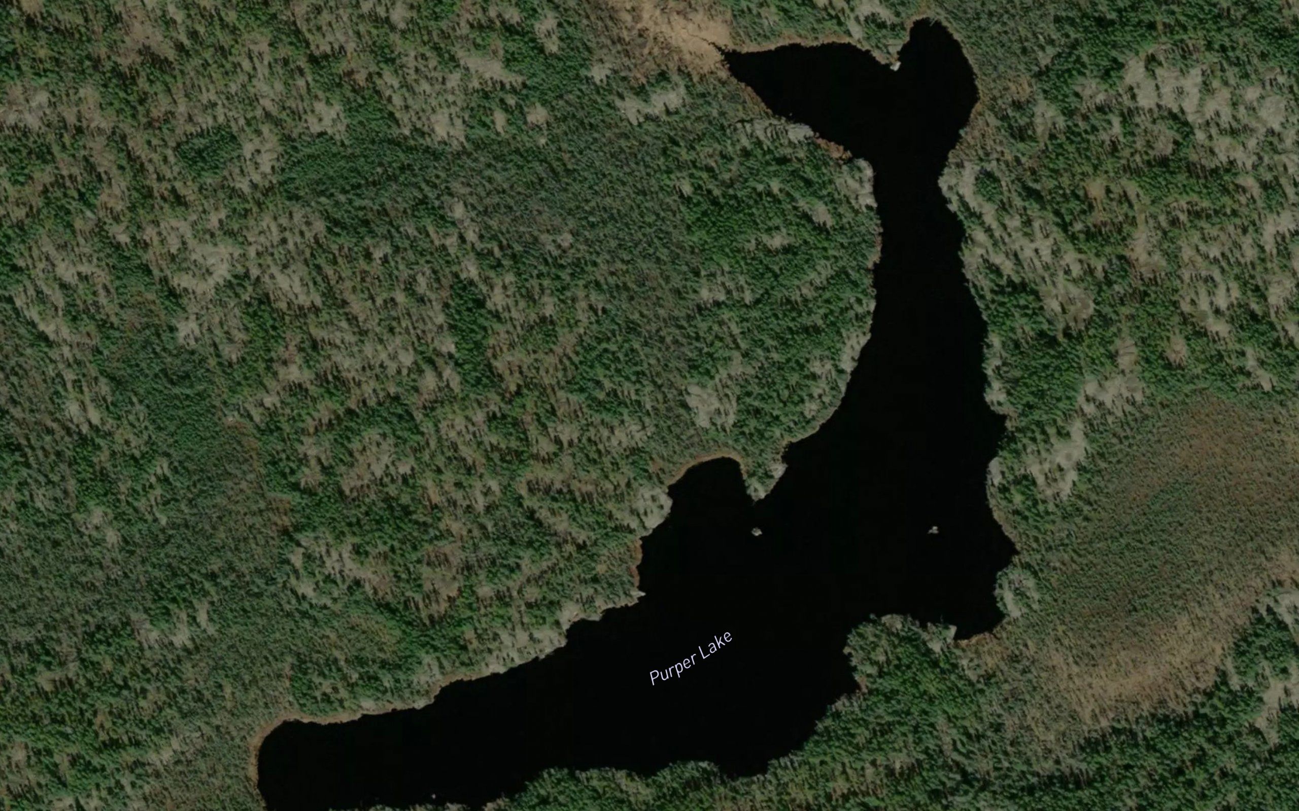 Purper Lake
