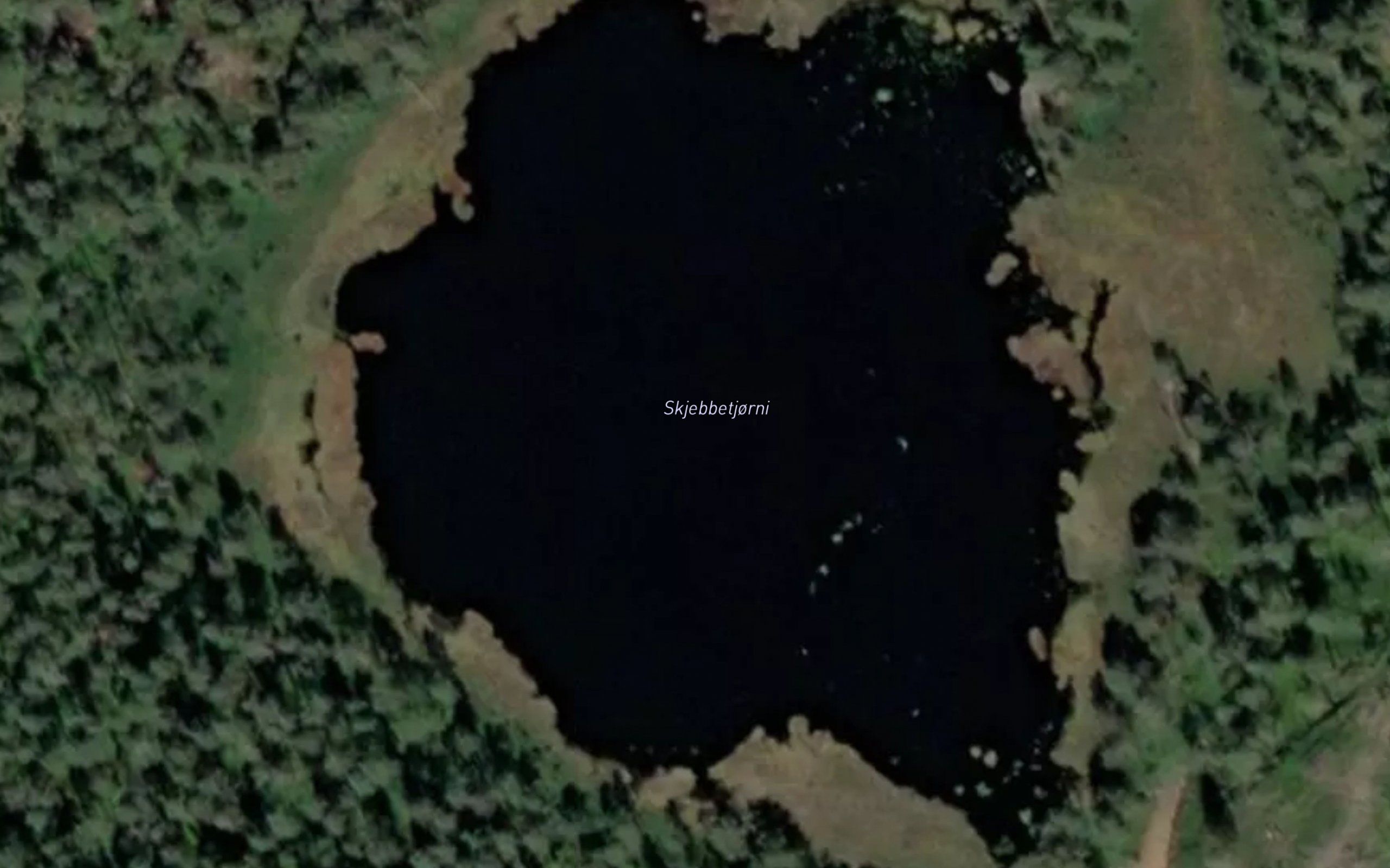 Skjebbetjonn