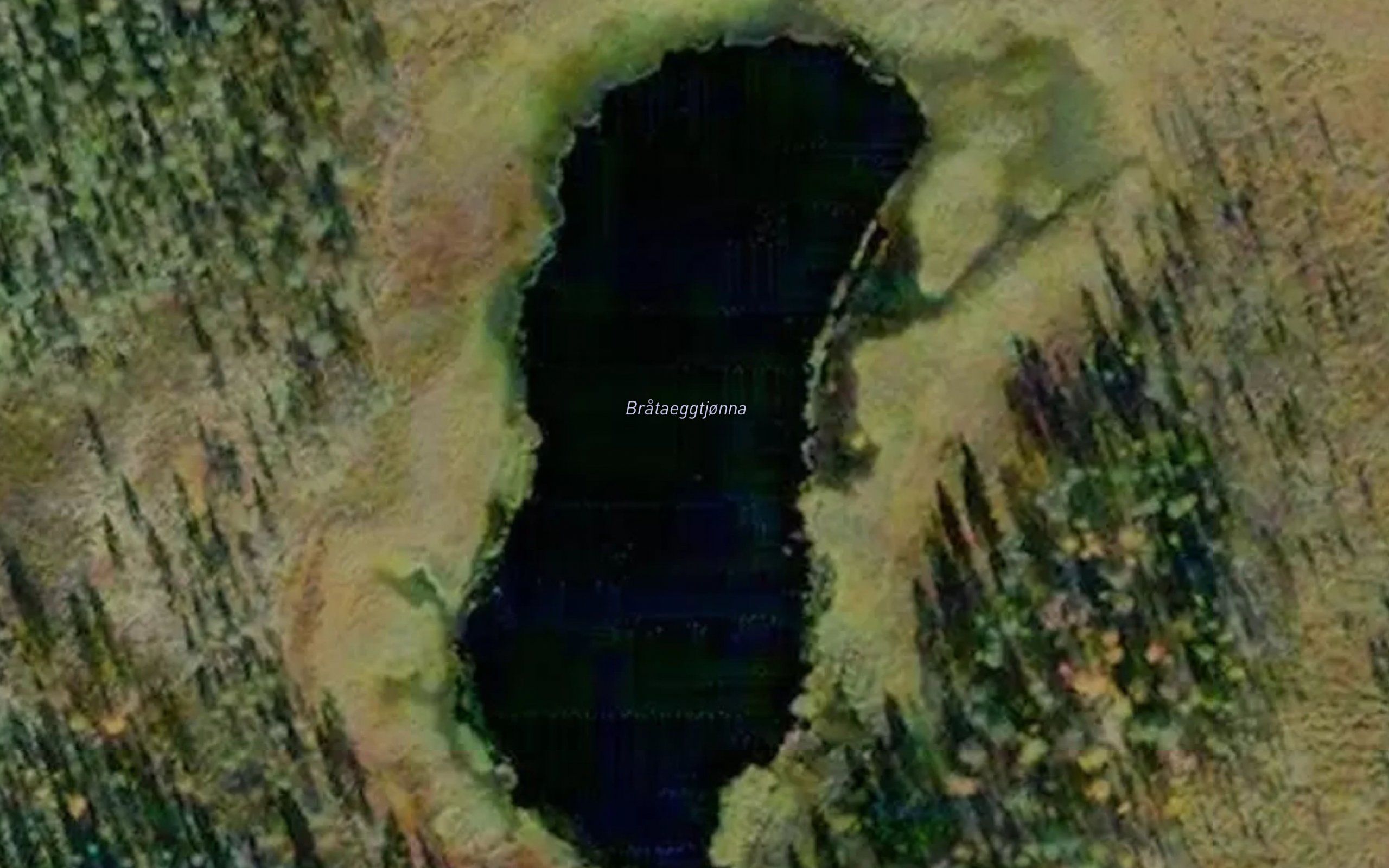 Brataeggtjorna