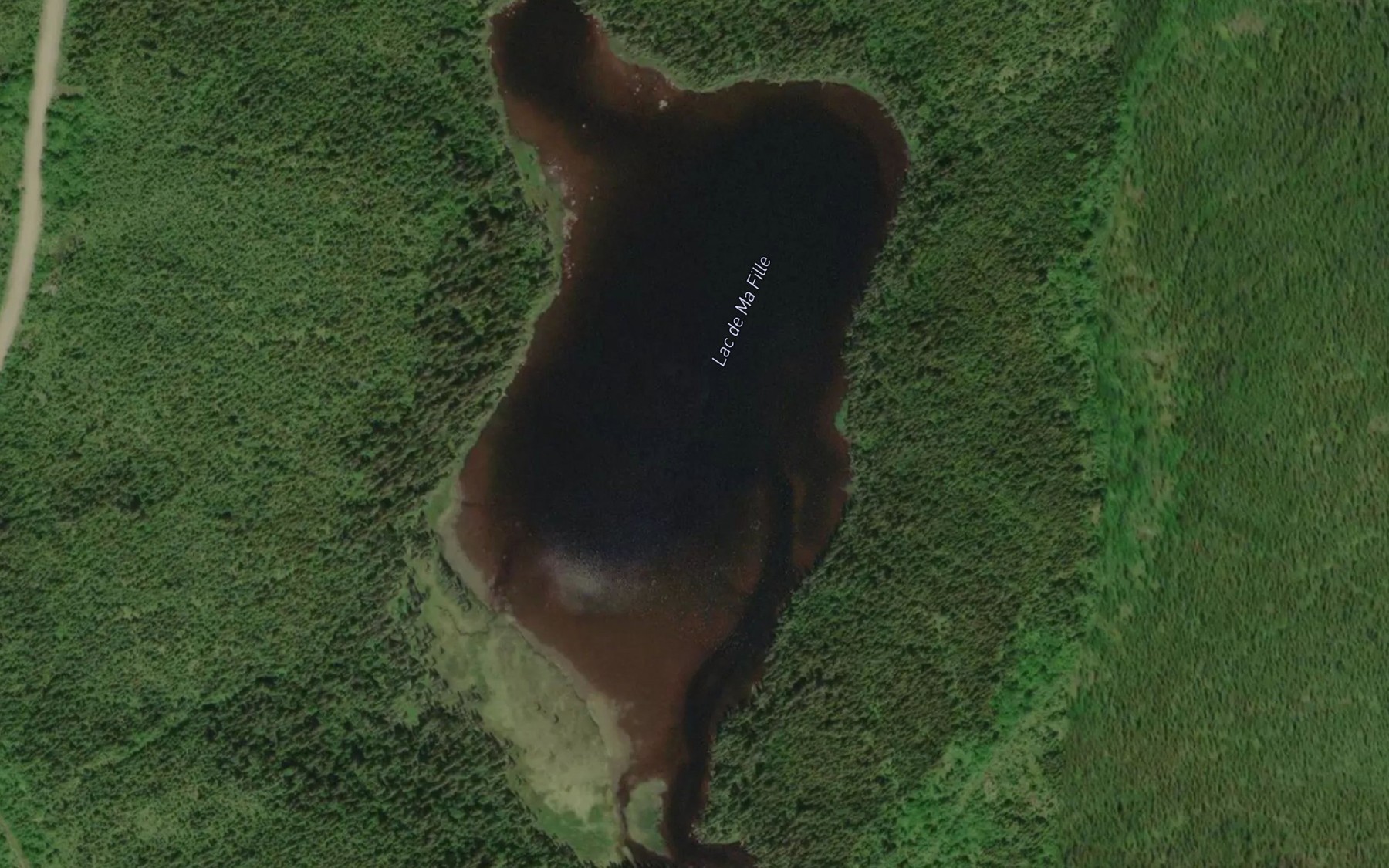 Satellite map of the Lac de Ma Fille