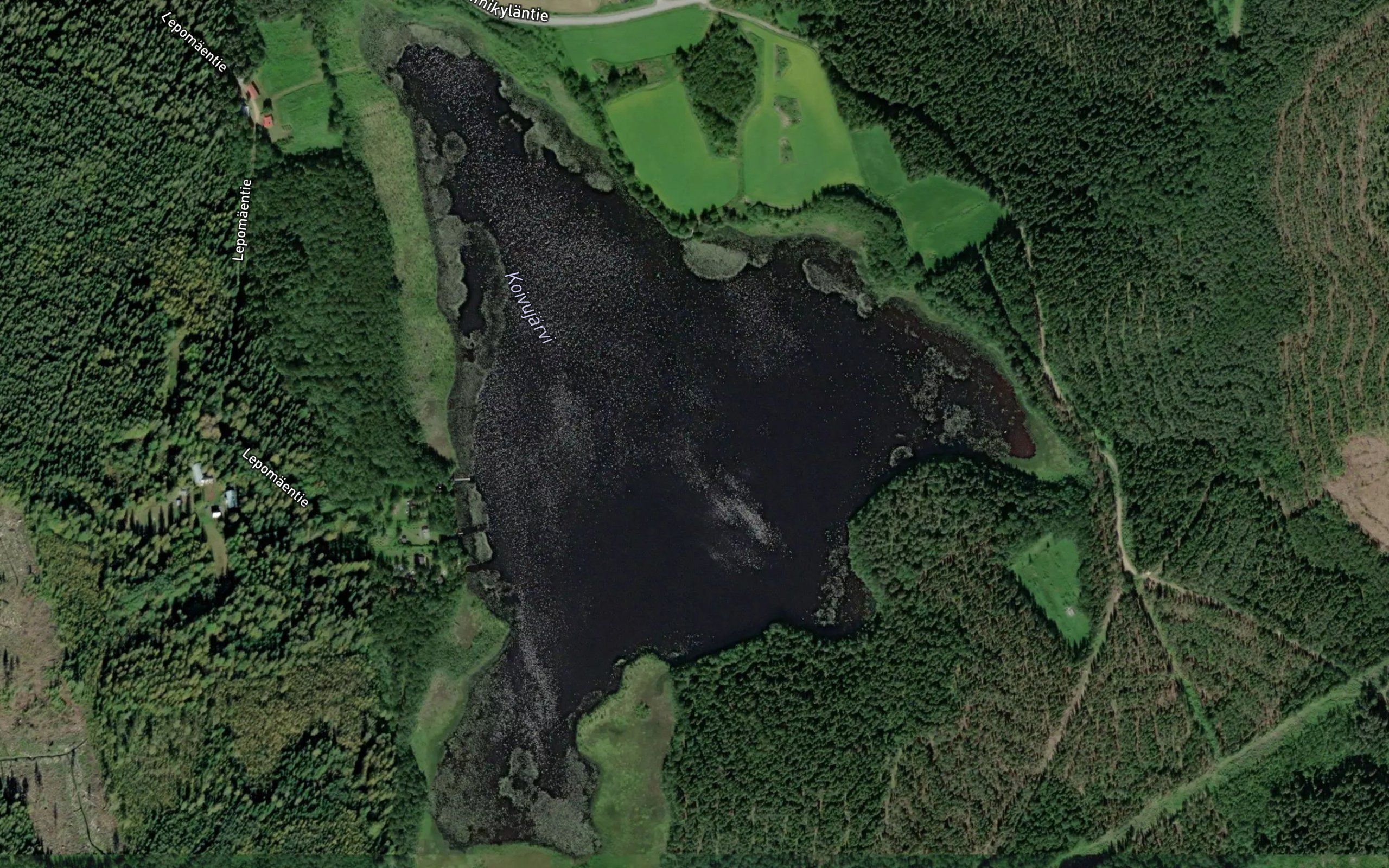 Koivujarvi
