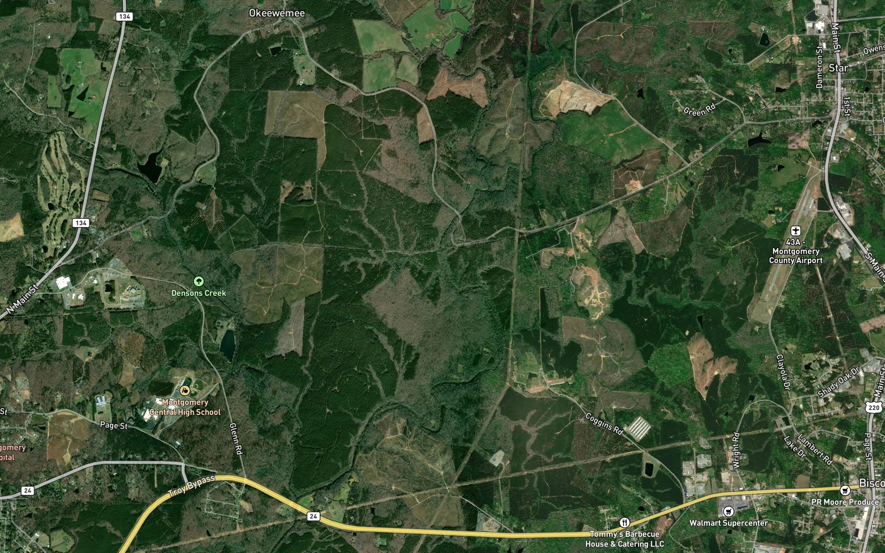 Satellite map of the Gold Mine Branch