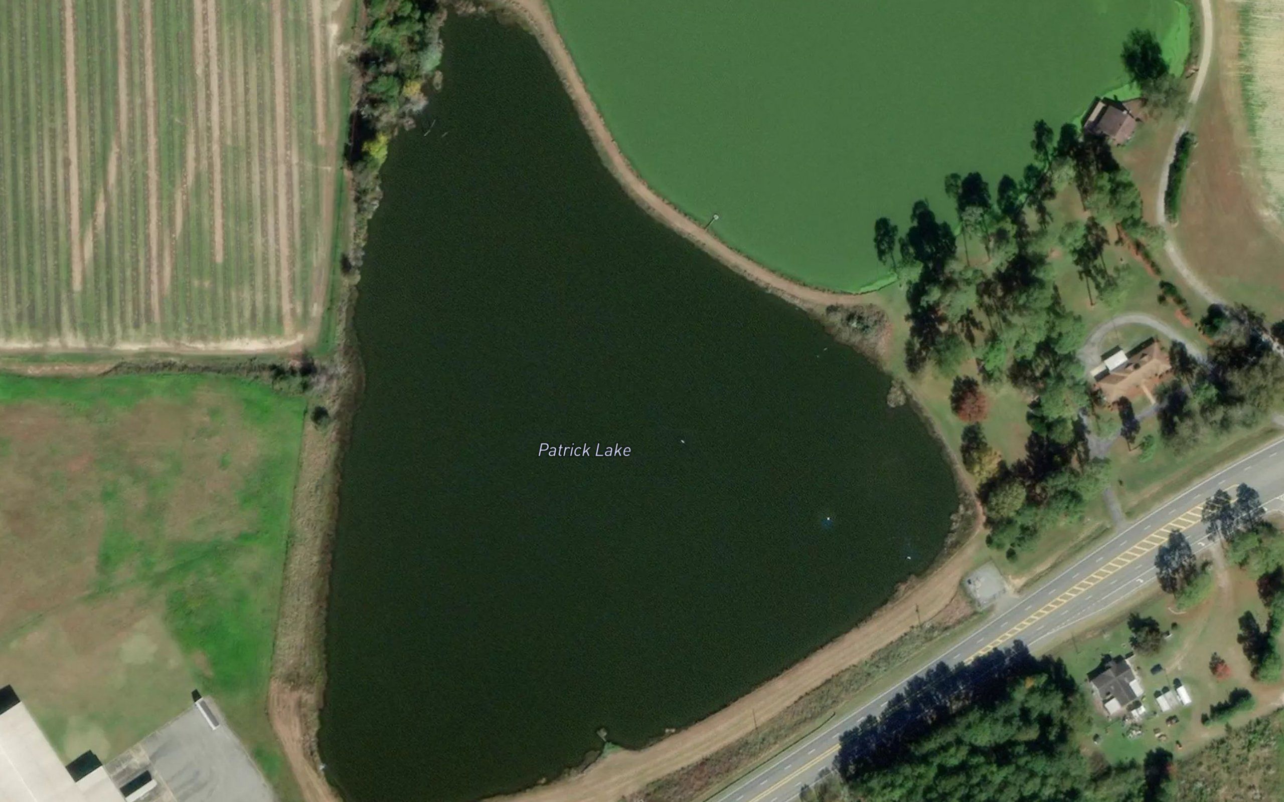 Patrick Lake