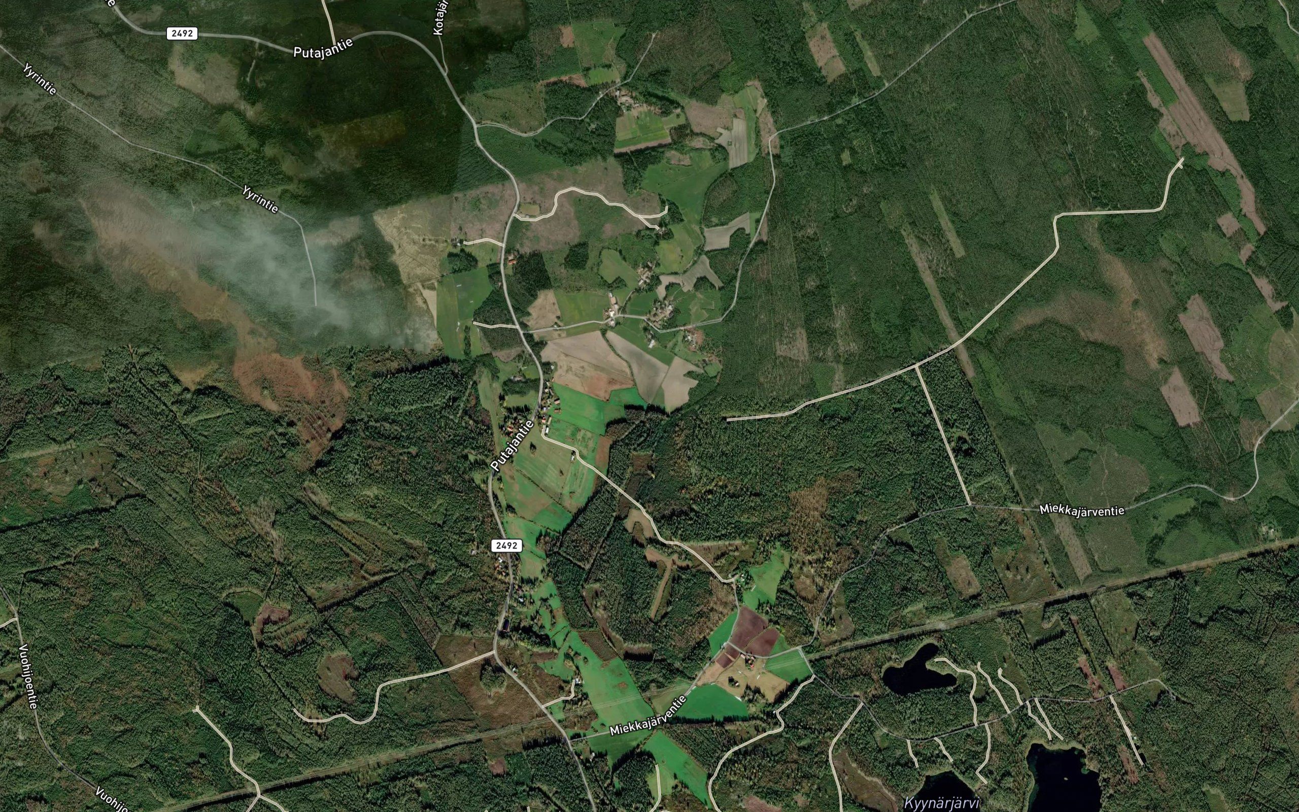 Koiranoja