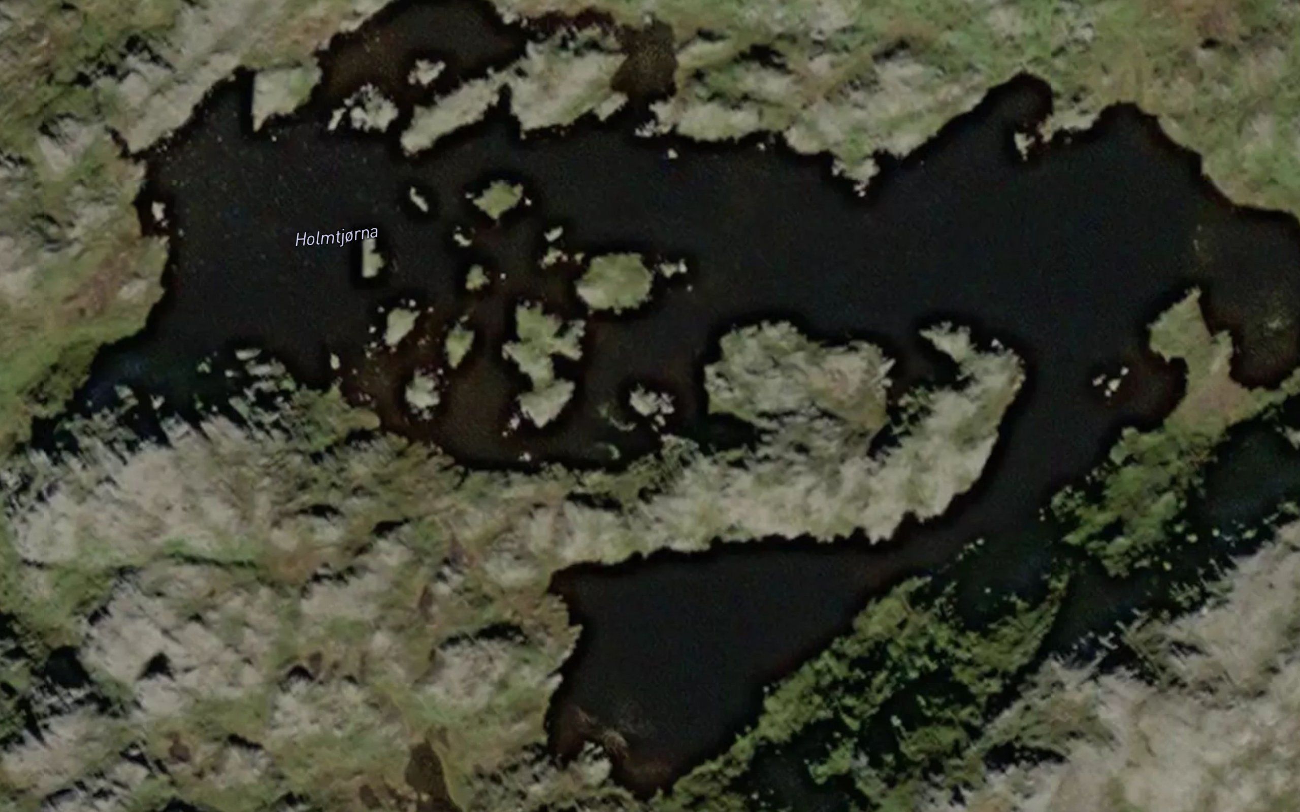 Holmtjorna