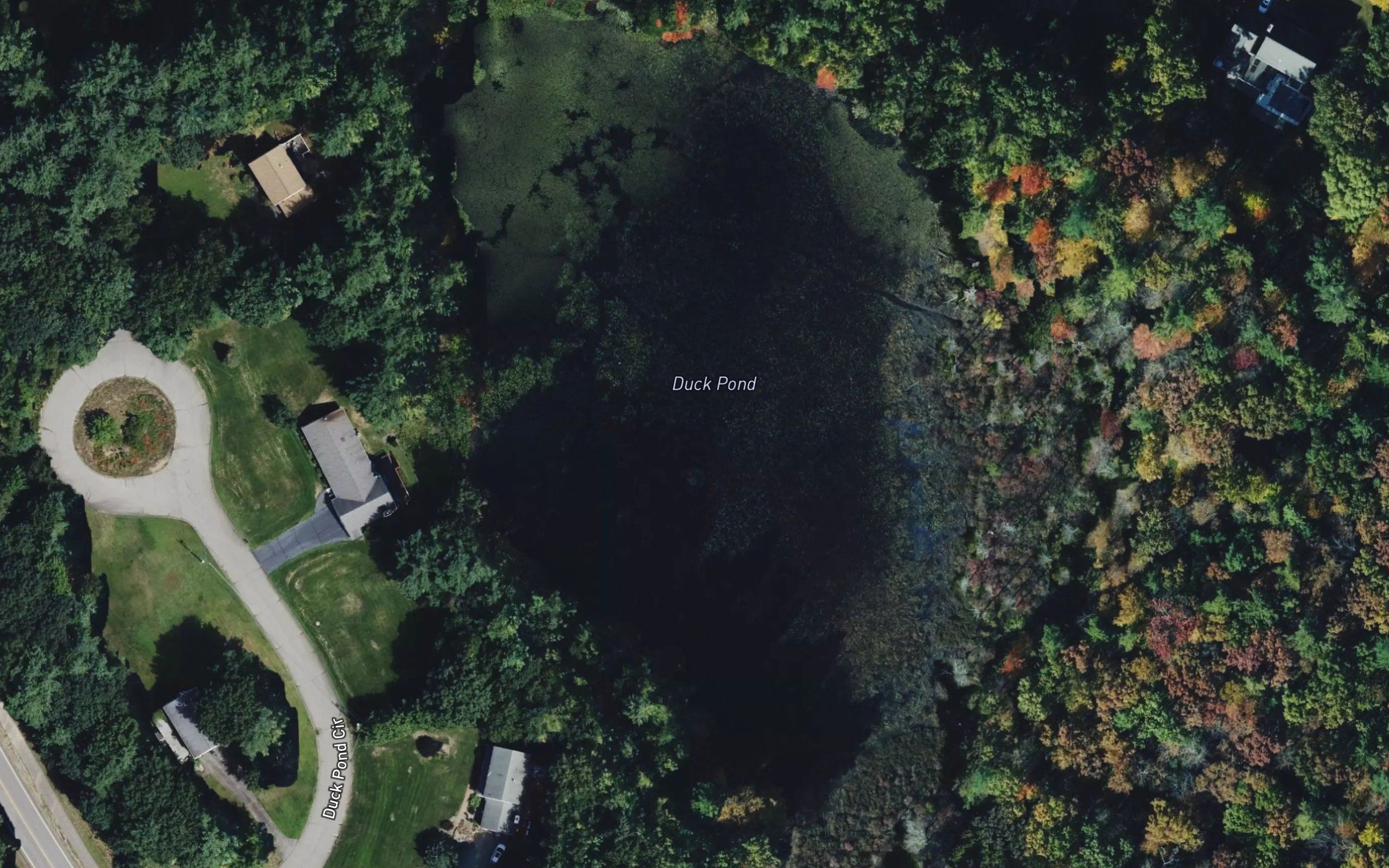 Duck Pond
