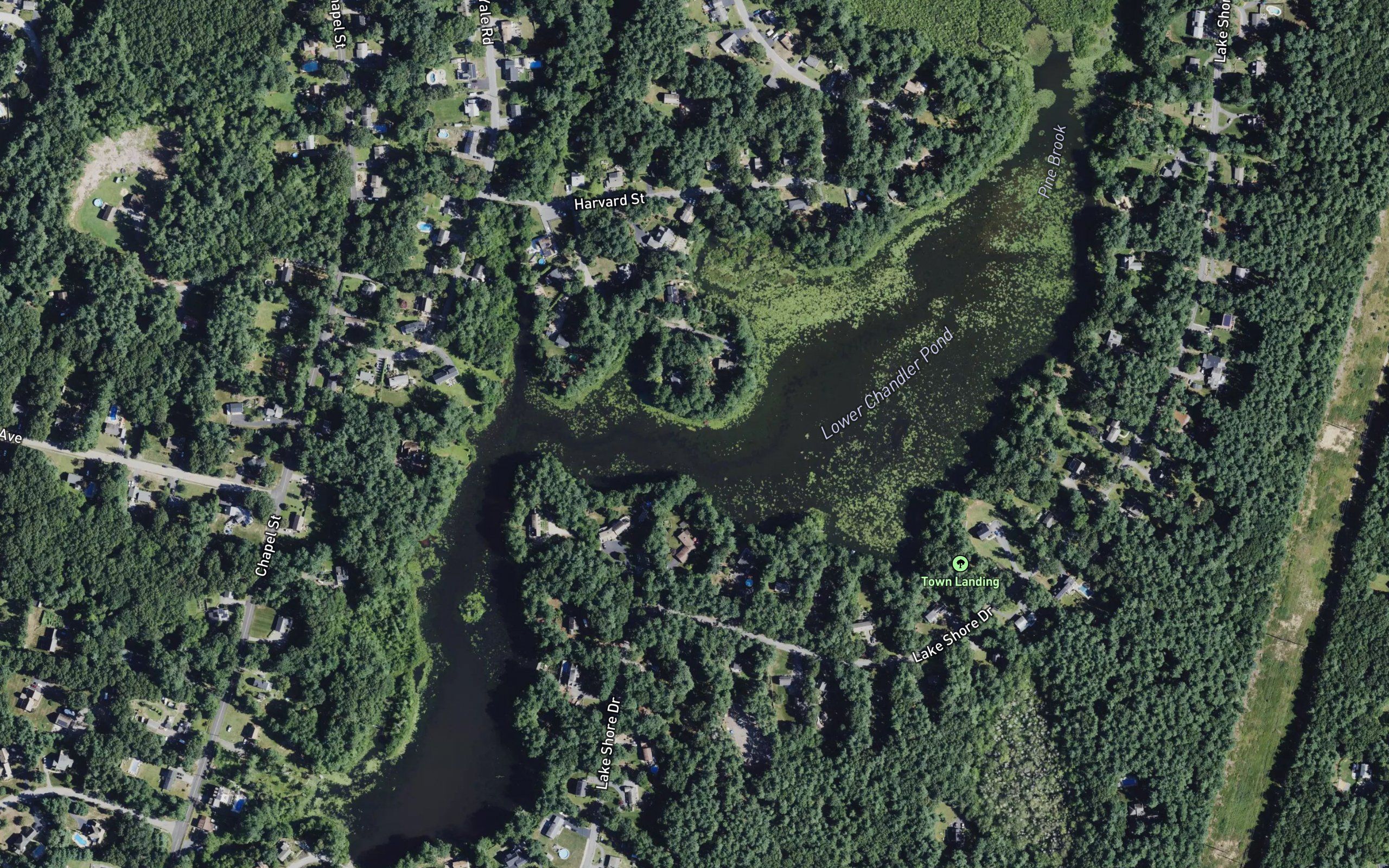 Lower Chandler Pond
