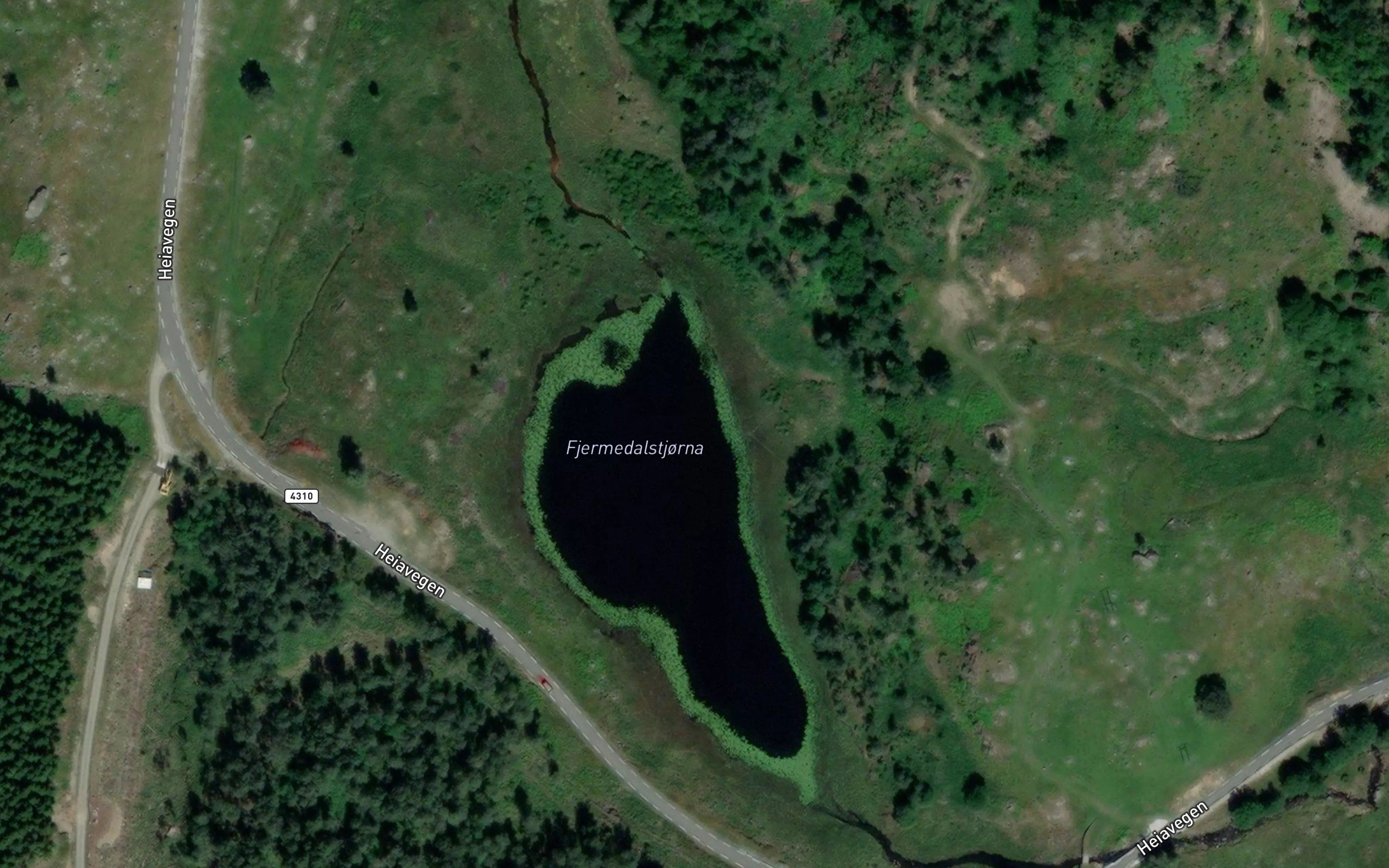 Fjermedalstjorna