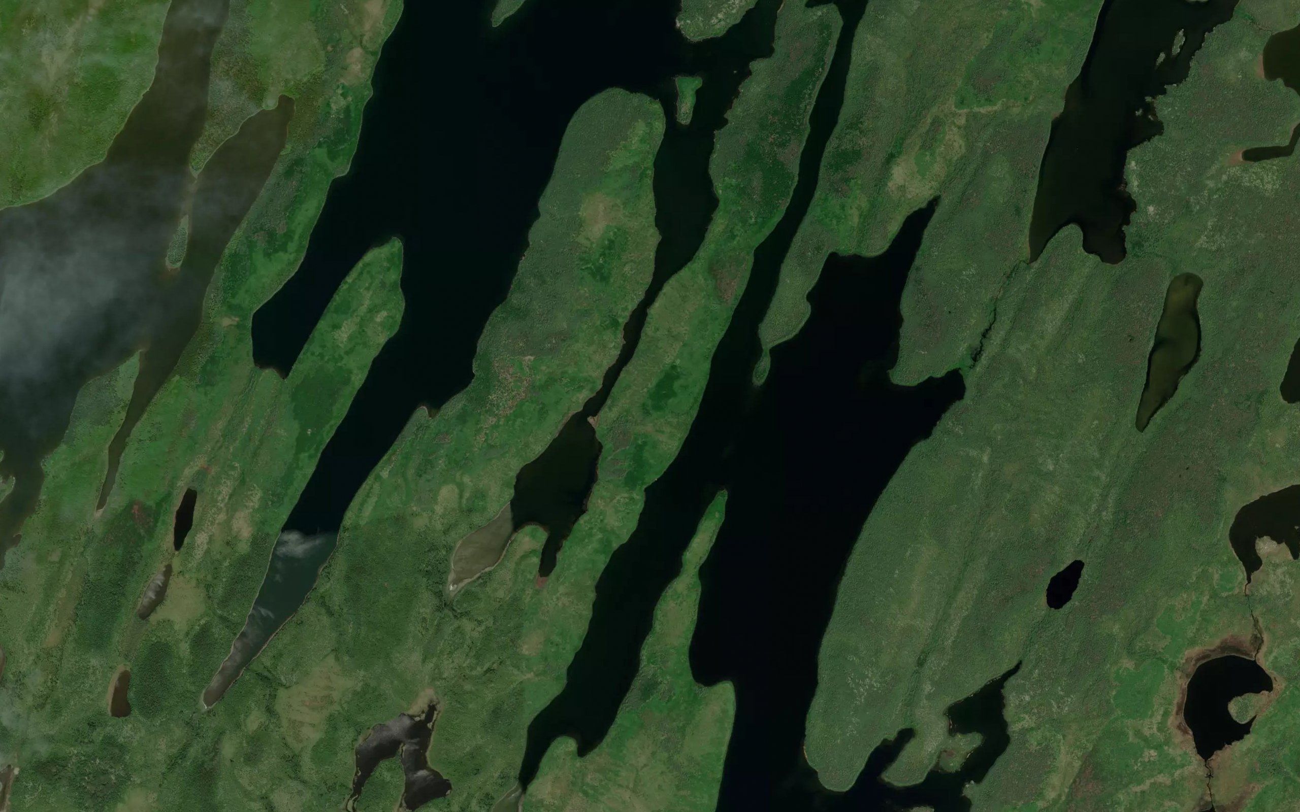 Net River