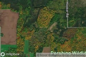 Lake 31 6 15