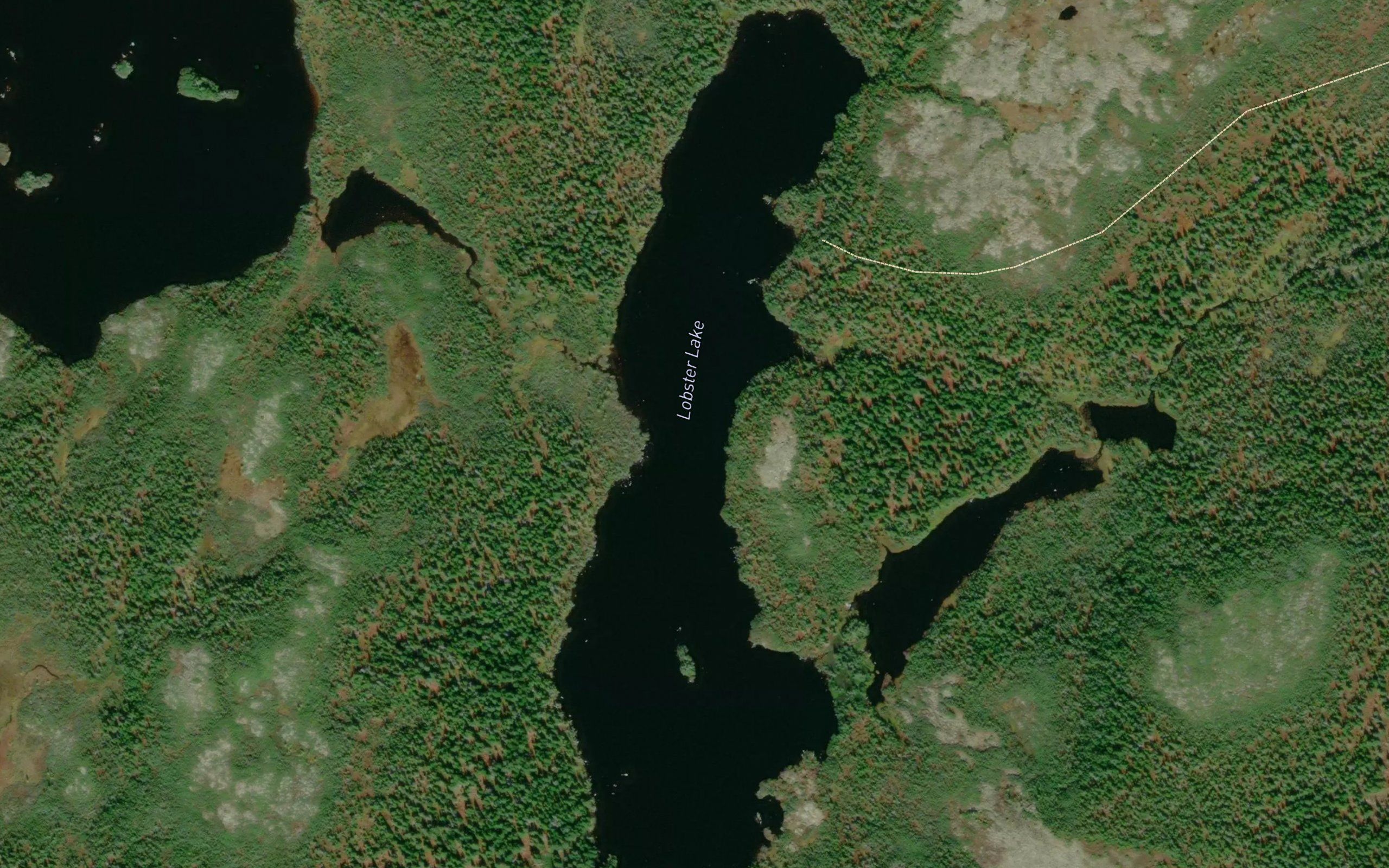 Lobster Lake