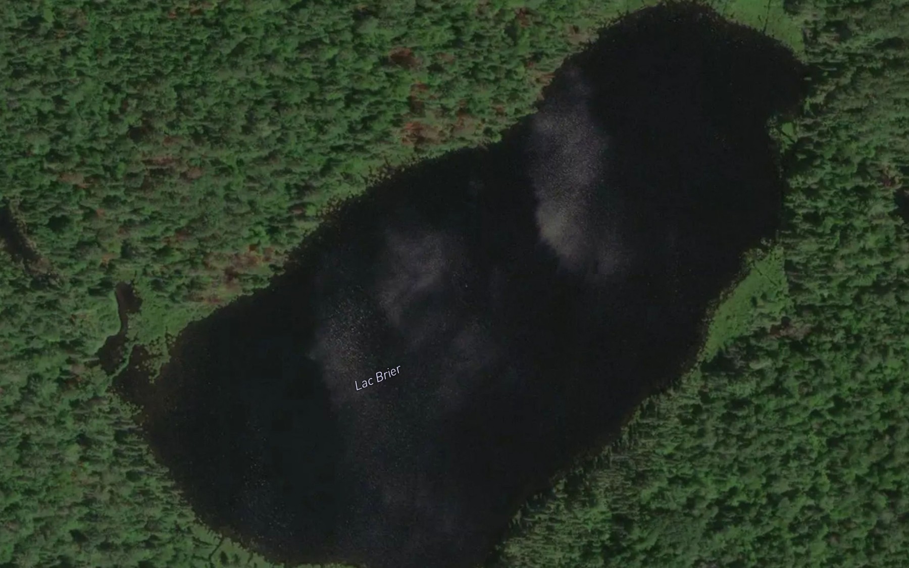 Satellite map of the Lac Brier