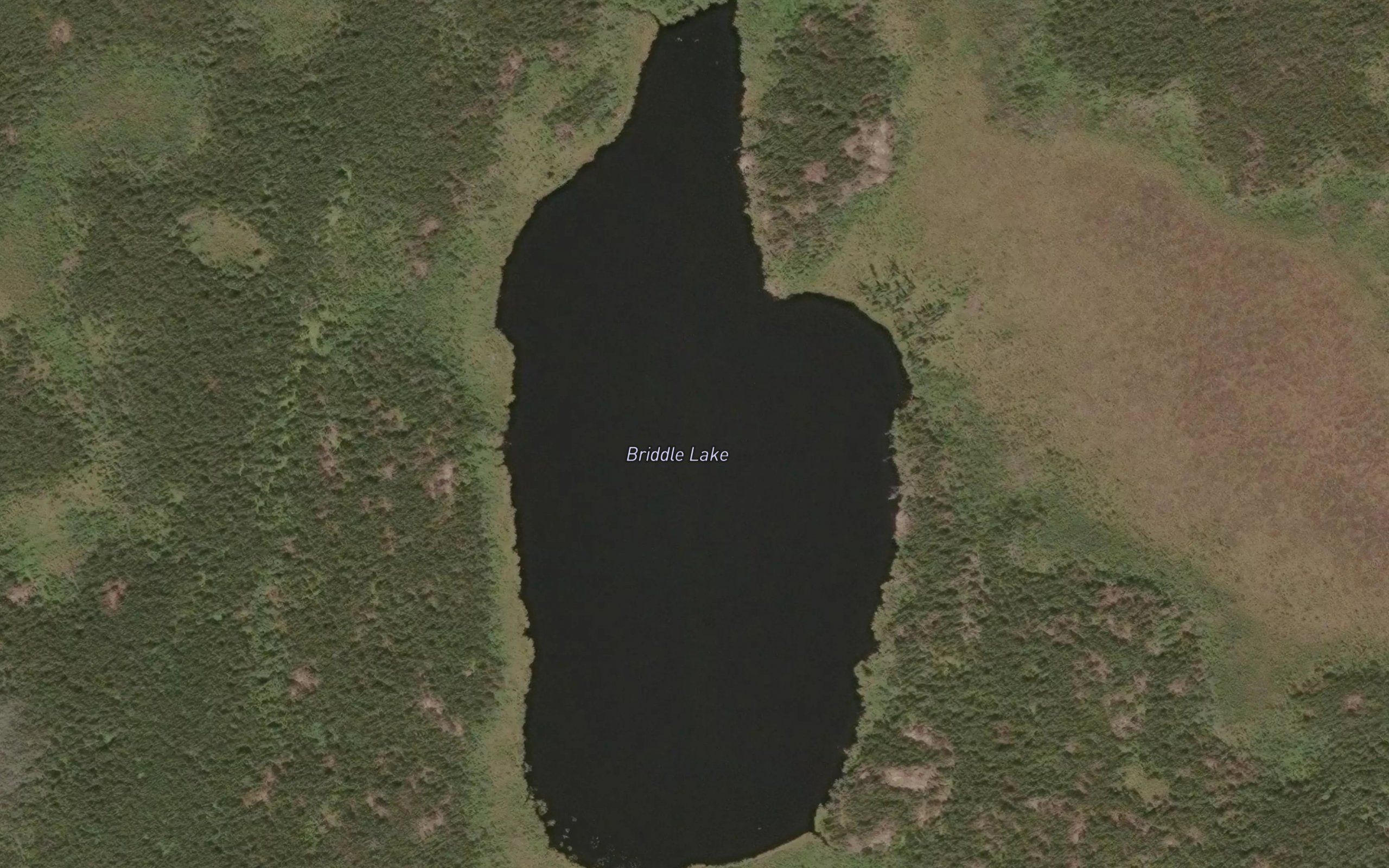 Briddle Lake