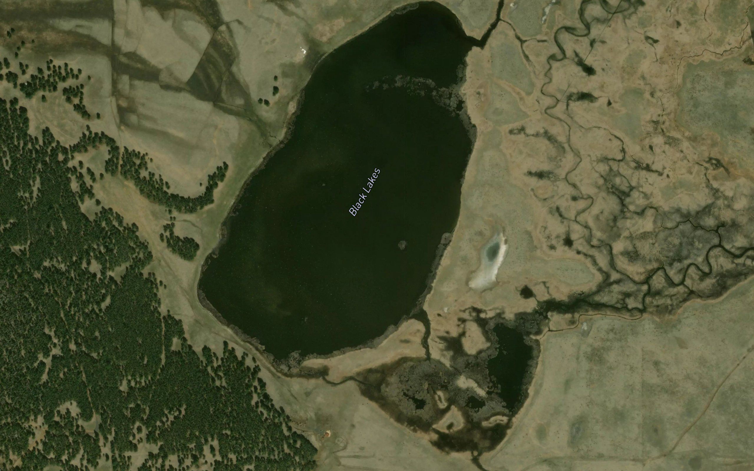 Black Lakes