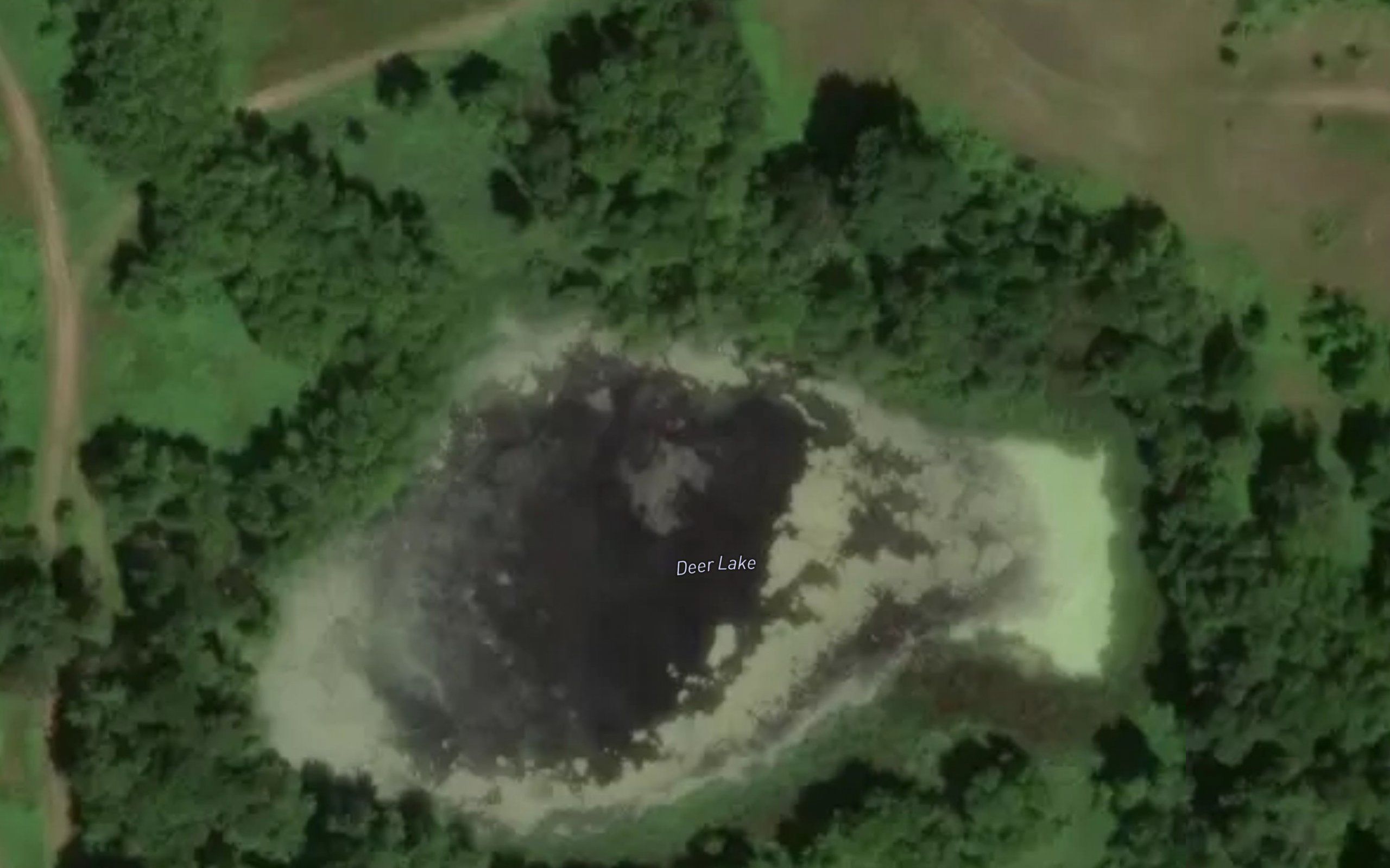 Deer Lake