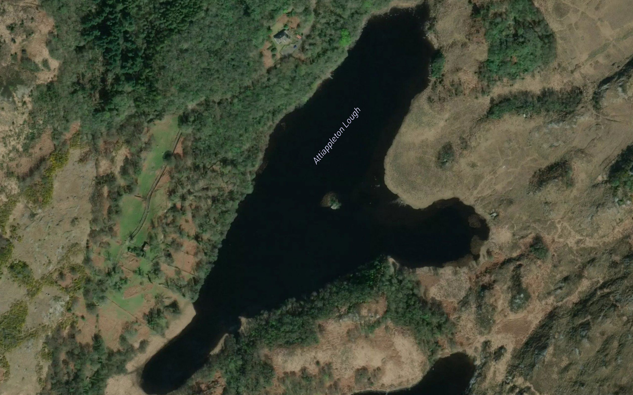 Attiappleton Lough
