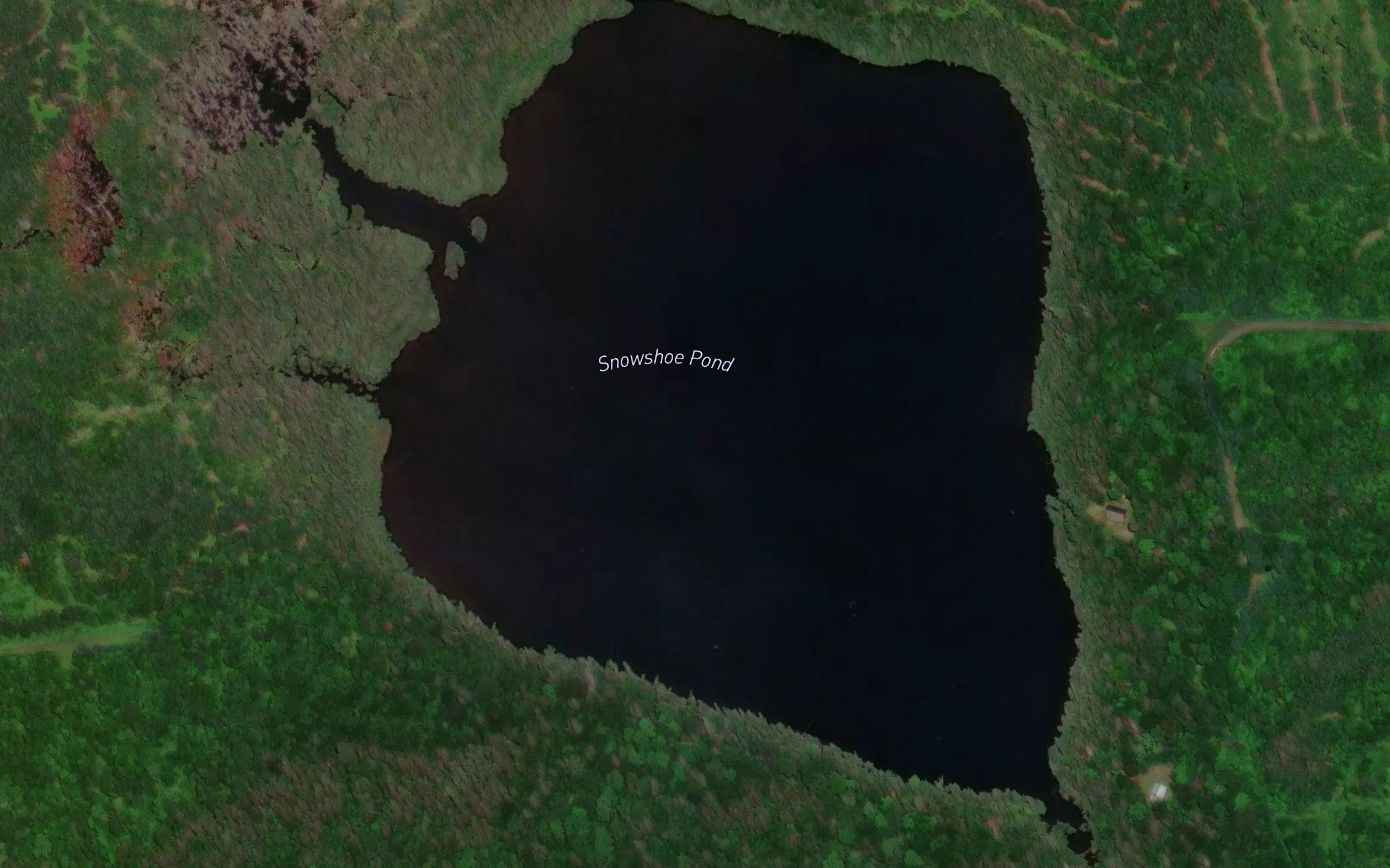 Snowshoe Pond