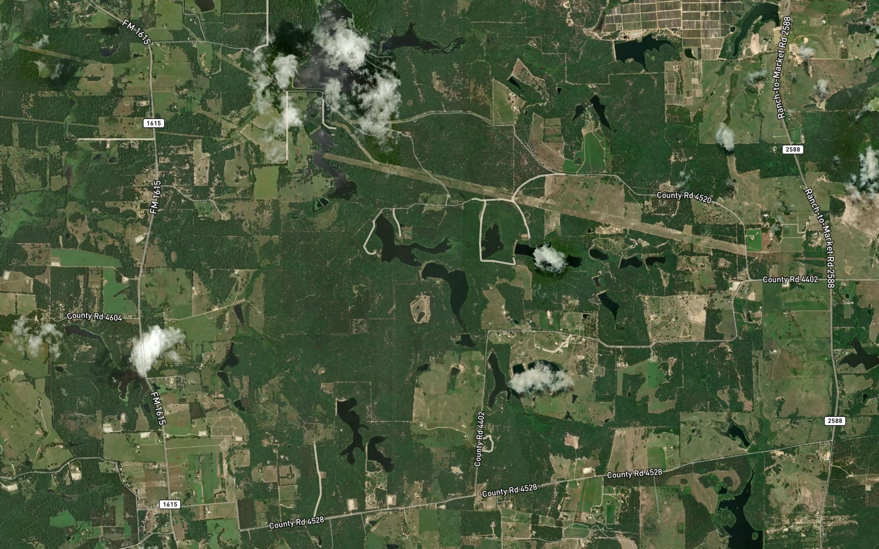 Satellite map of the Palmer Branch