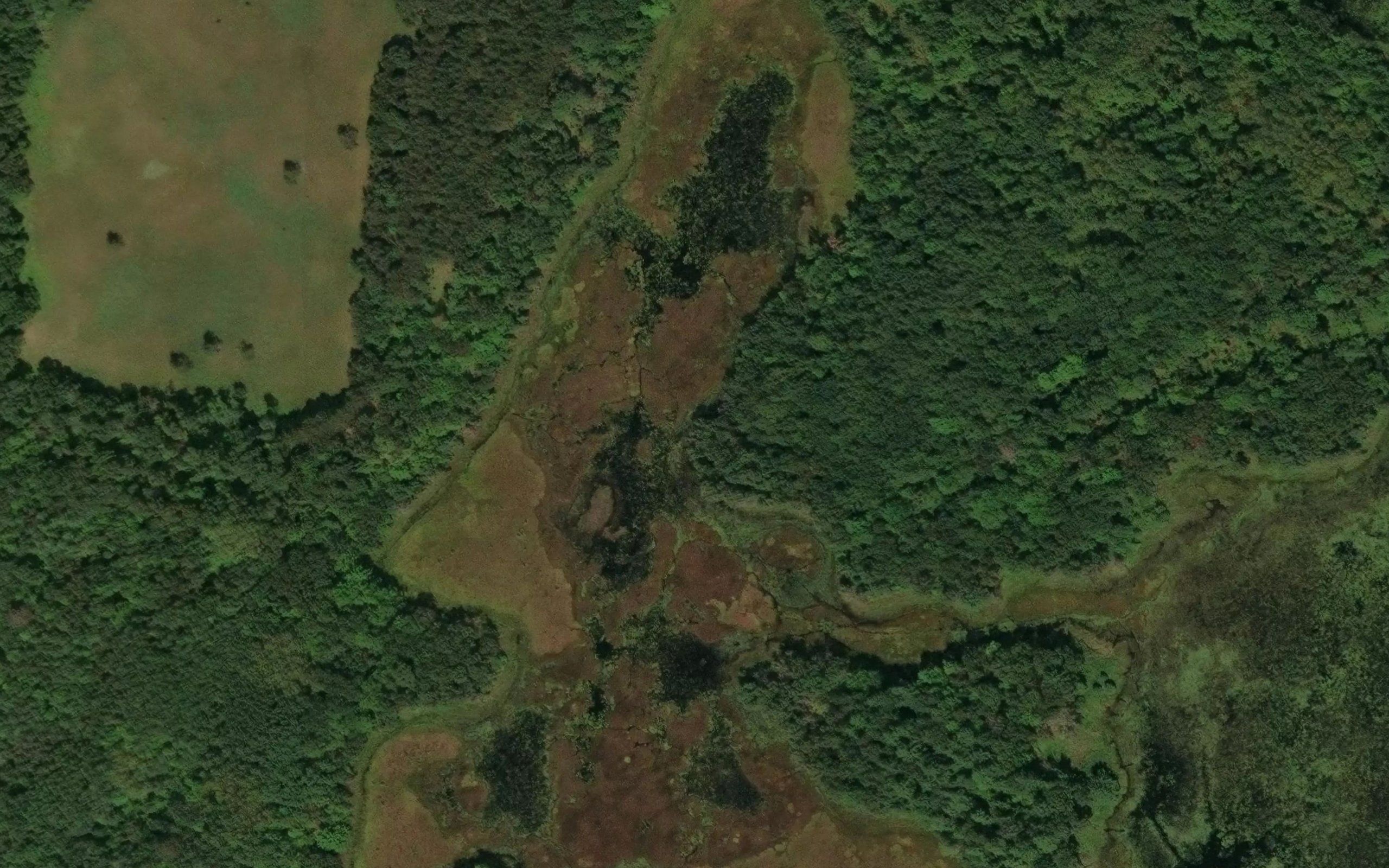 Lost Lake