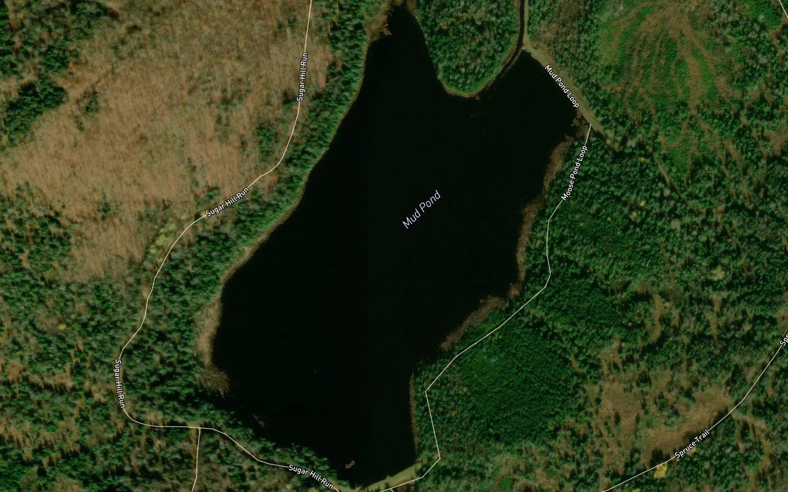 Mud Pond