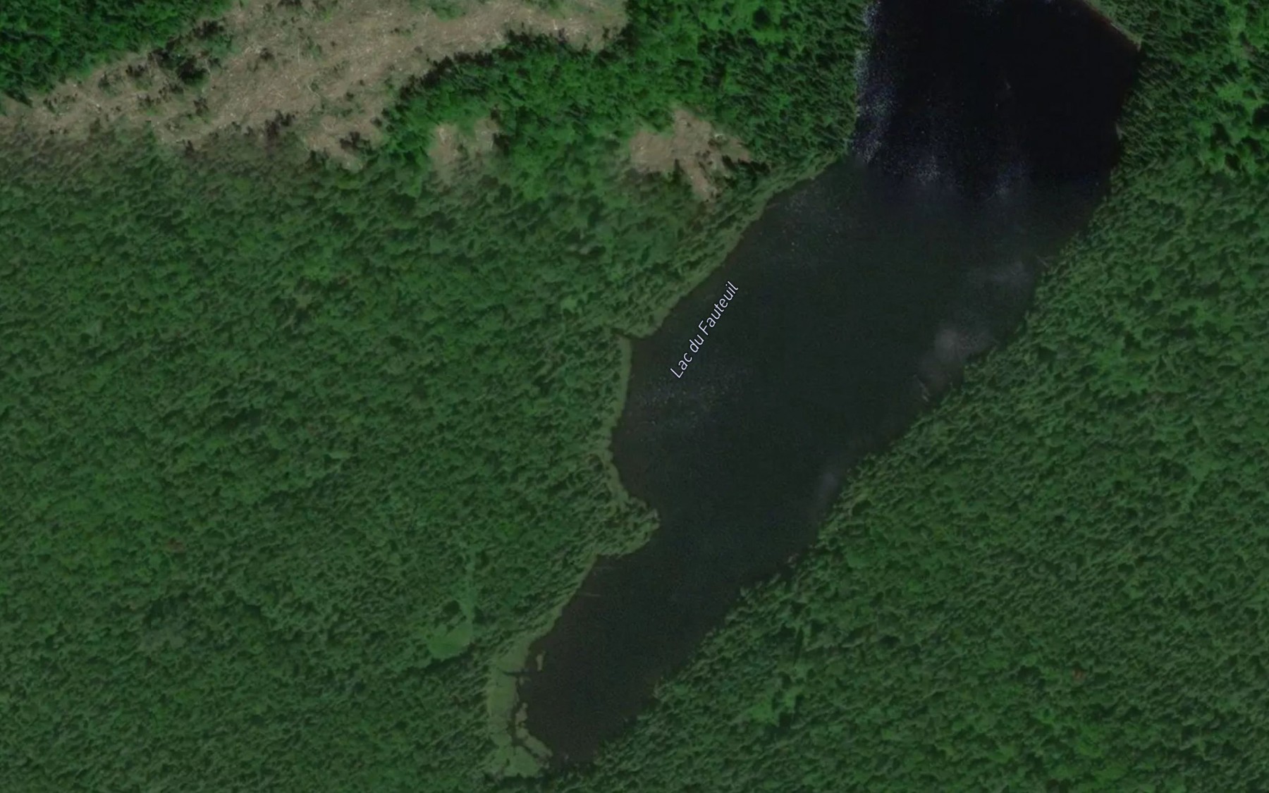 Satellite map of the Lac du Fauteuil