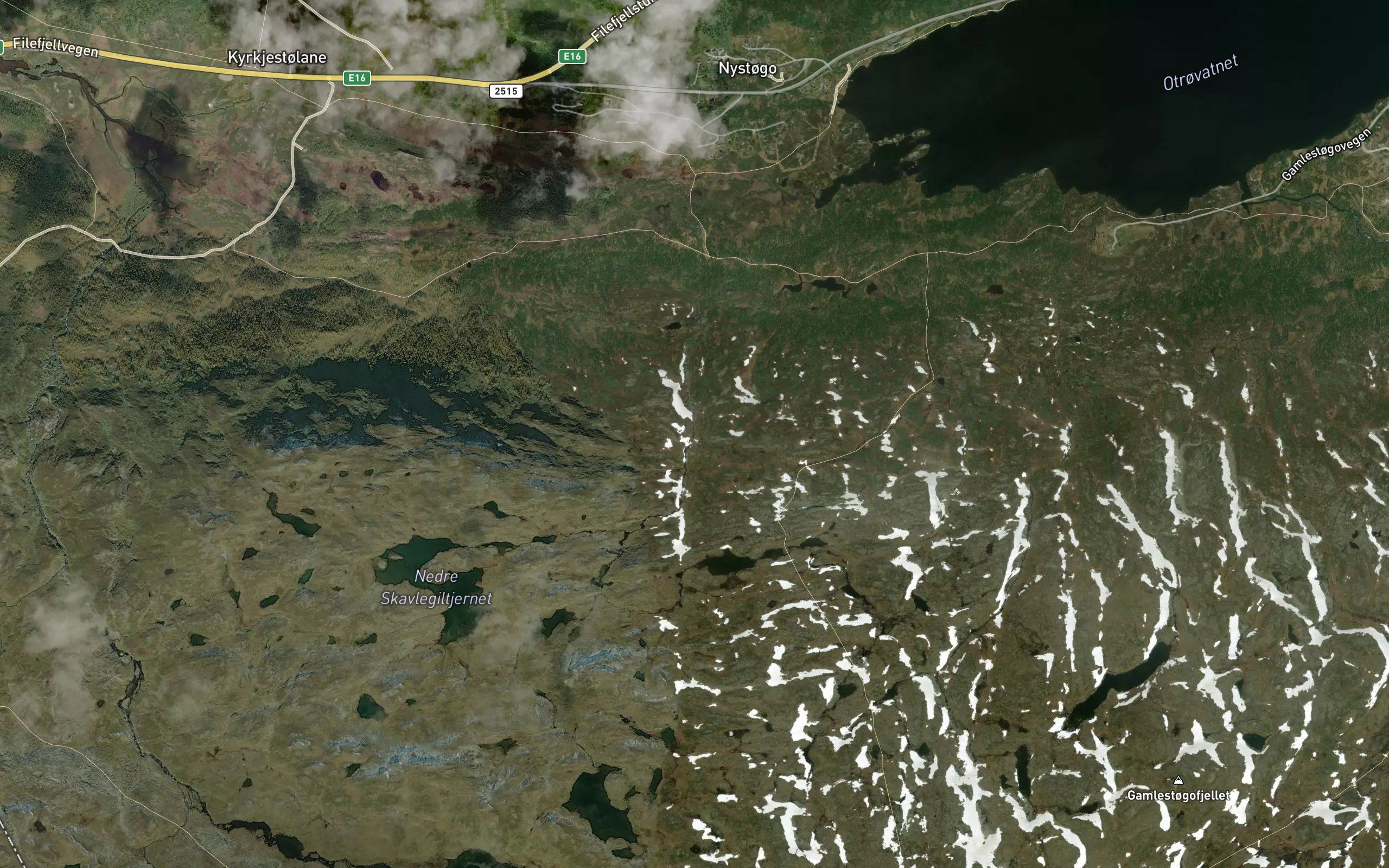 Skavlegilane